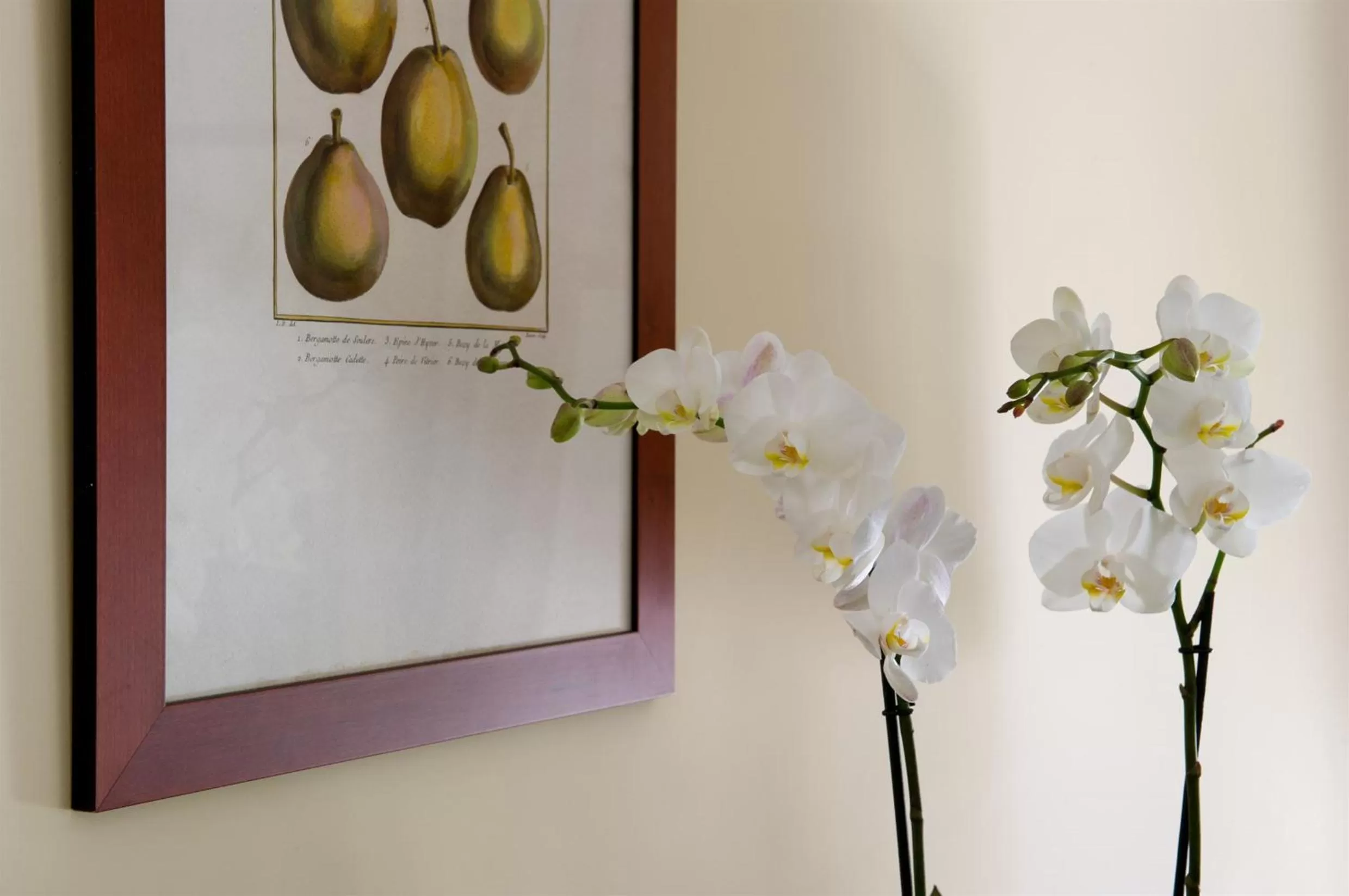 Decorative detail in Relais Monaco Country Hotel & Spa