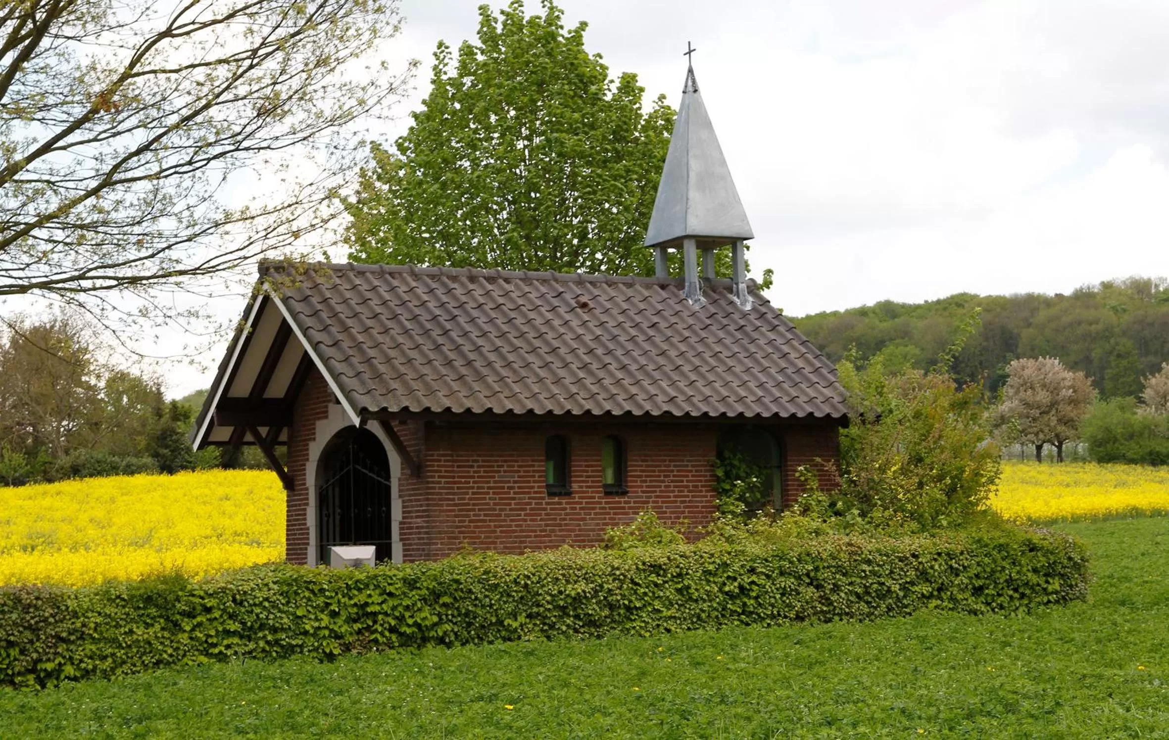 Natural landscape, Property Building in B&B - Eetcafe - Riekelt