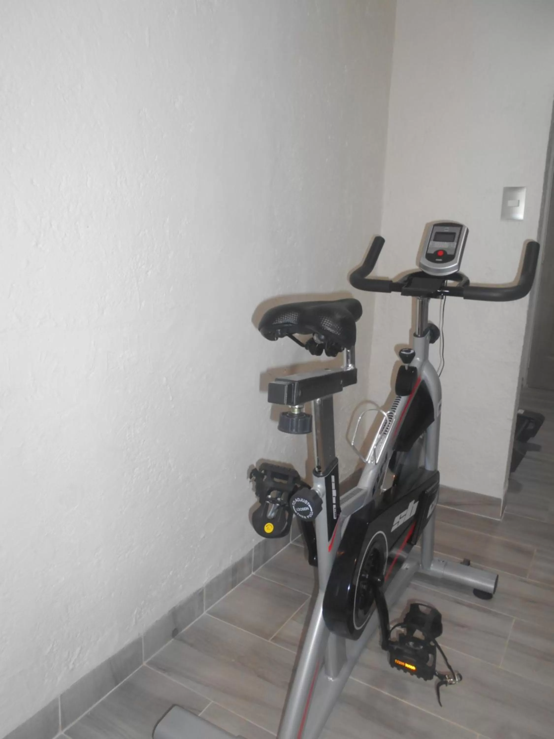 Fitness centre/facilities in Hotel Puente Real
