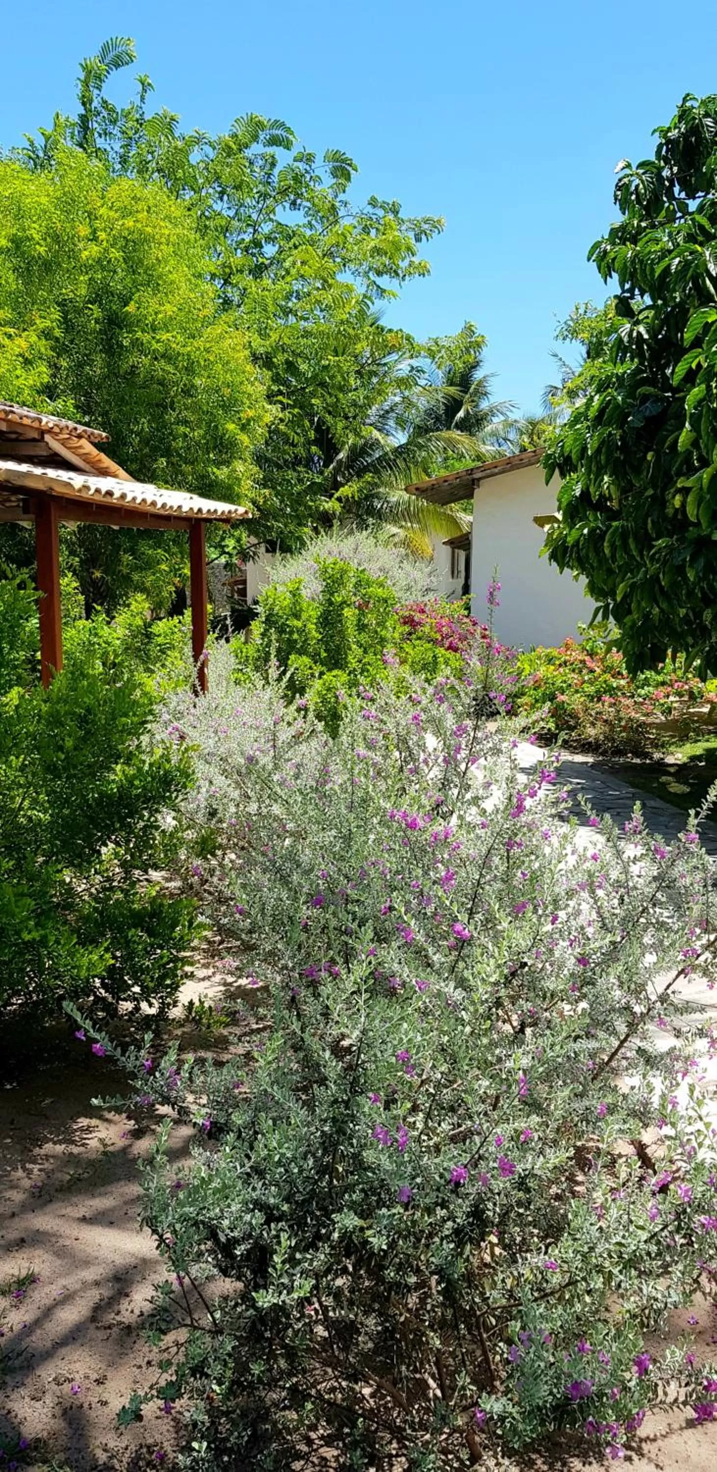 Garden in Pousada Villages Boutique Hotel