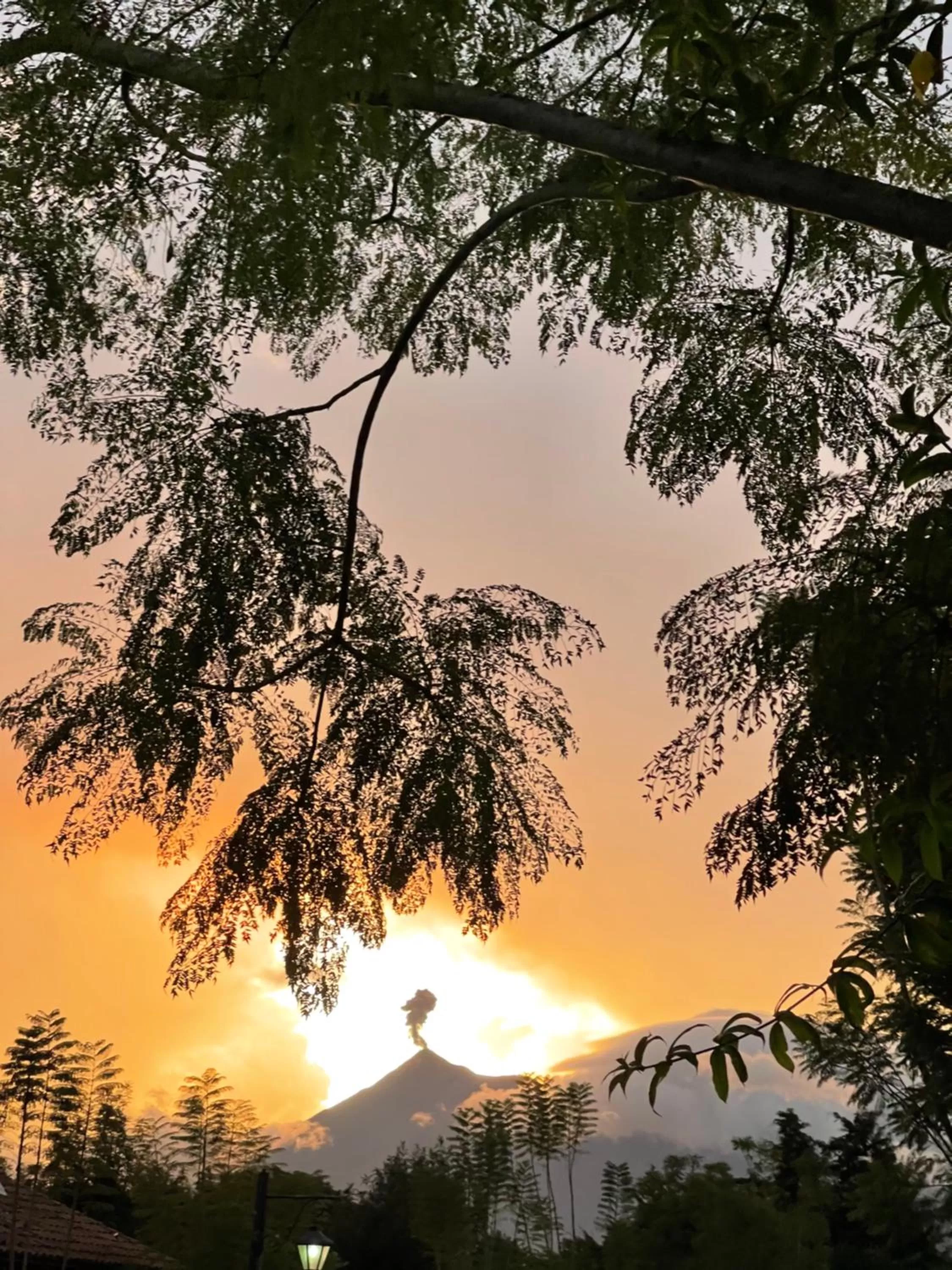 Natural landscape in Casa ELA Candelaria