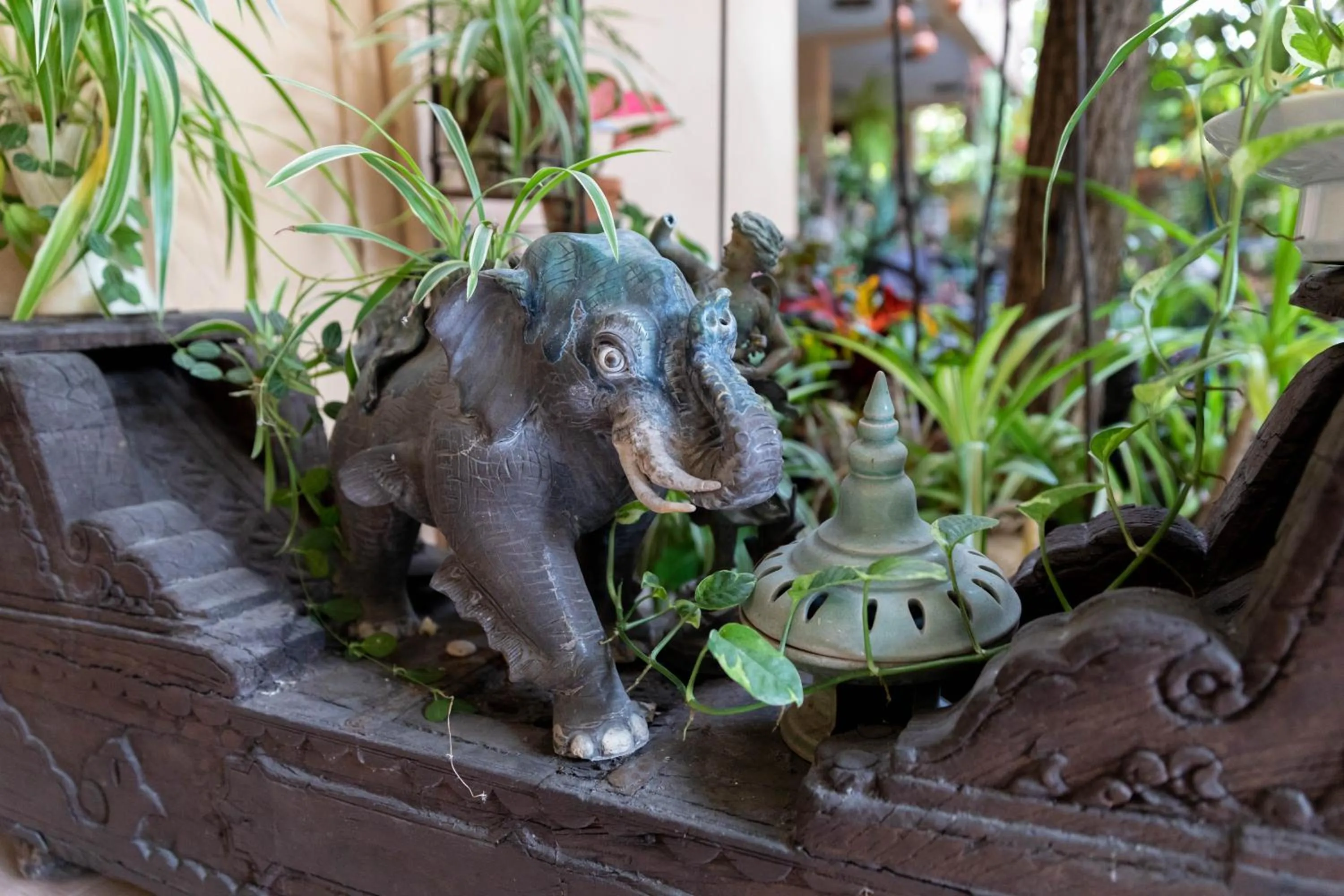 Garden in At Chiang Mai Hotel