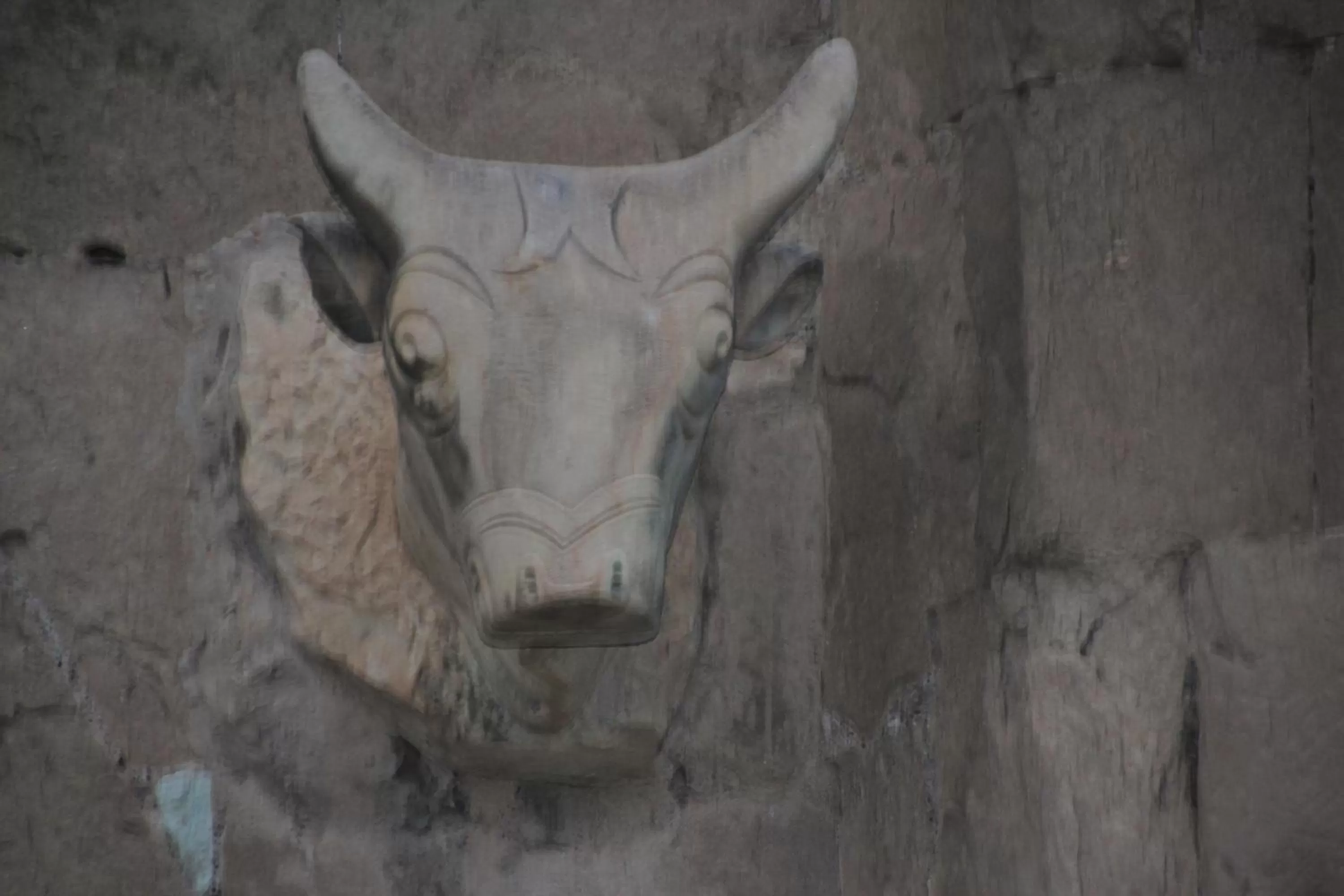 Other, Other Animals in Old Capital