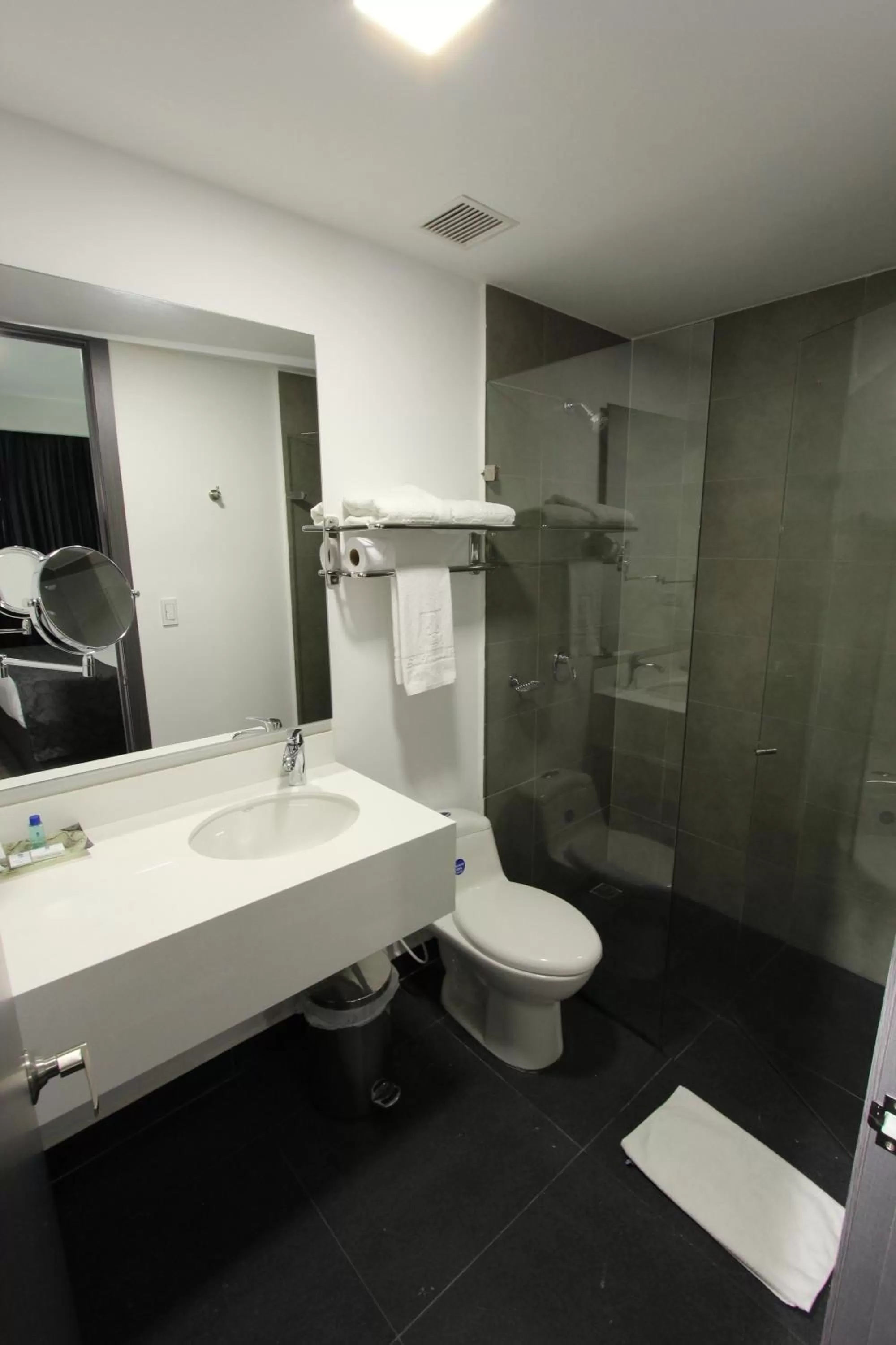 Bathroom in Hotel San Fernando Real