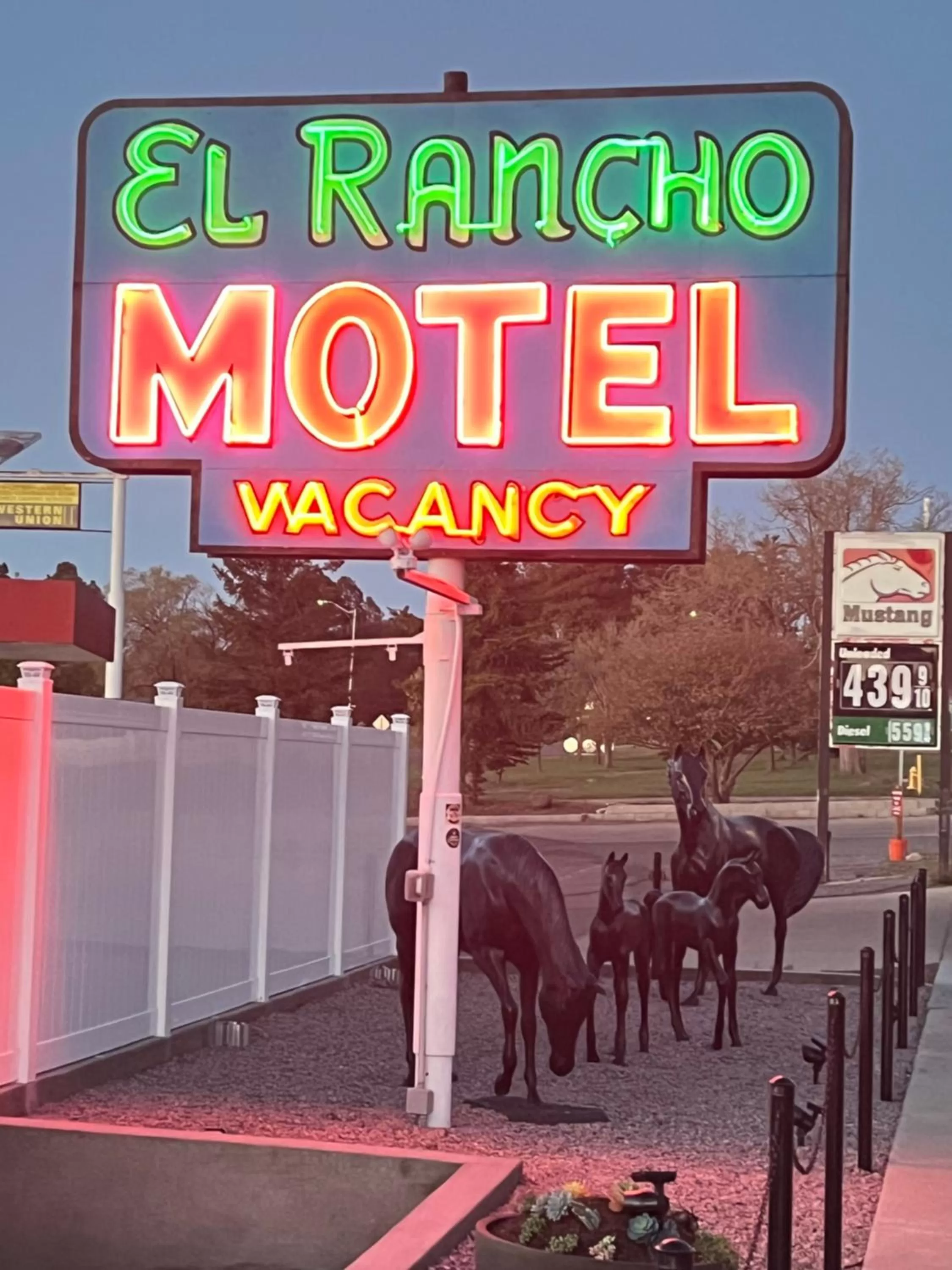Night in El Rancho Motel