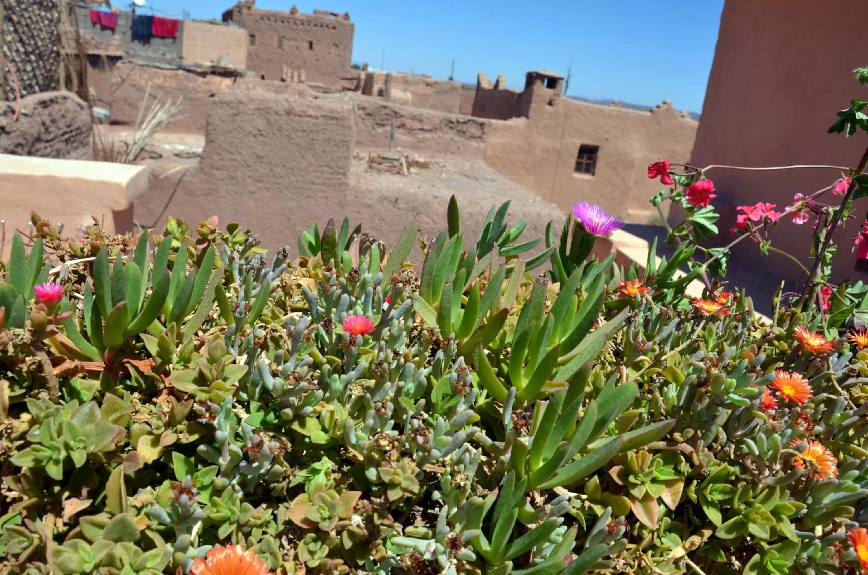 Decorative detail, Property Building in Maison d'hôtes Dar El Nath
