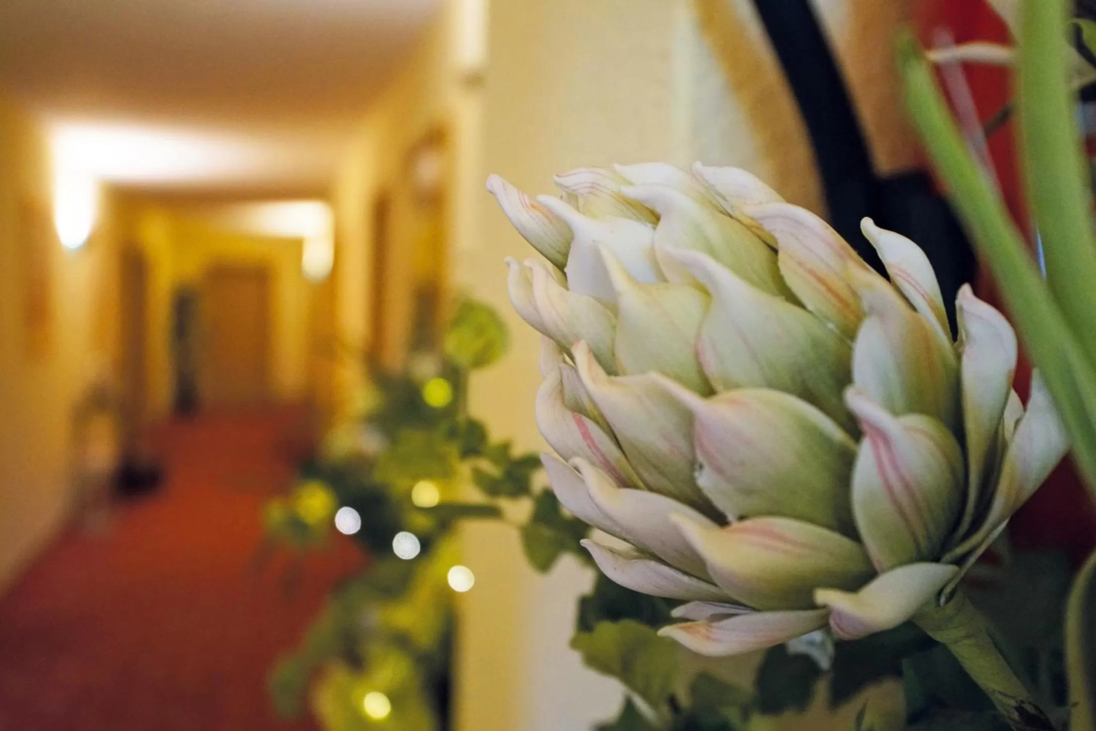 Lobby or reception, Food in Hotel und Restaurant Bühlhaus