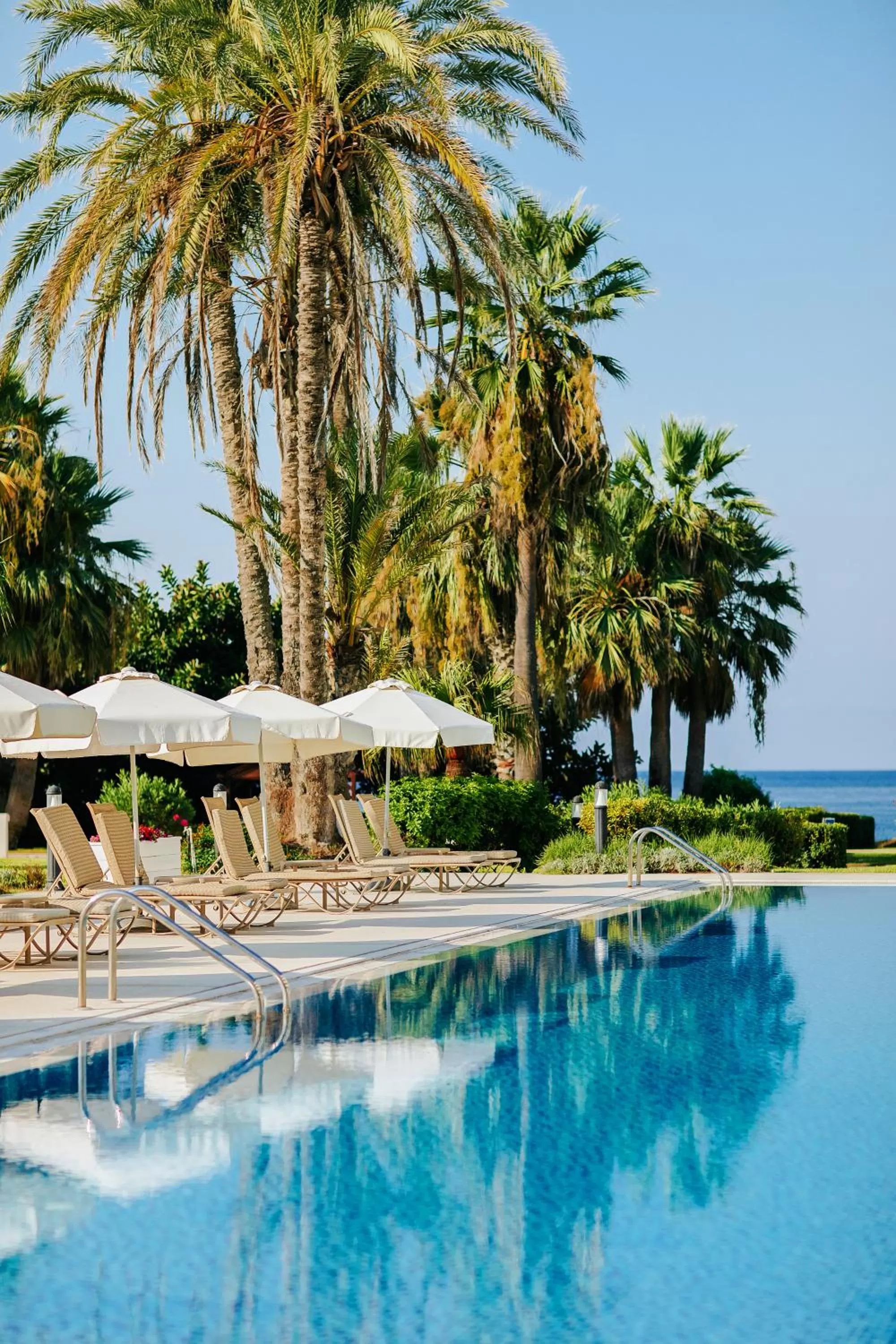 Swimming pool in Louis Imperial Beach