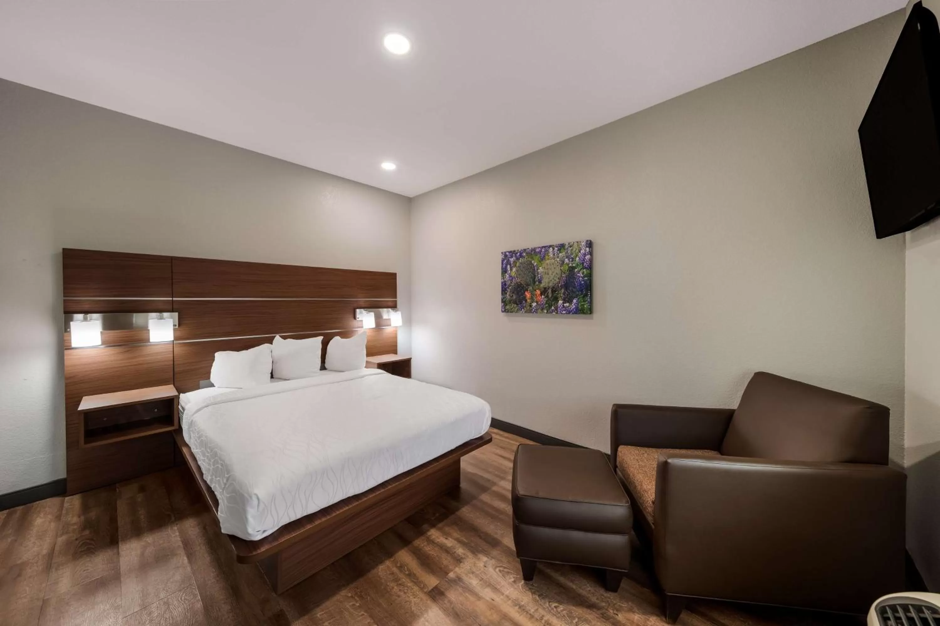 Photo of the whole room, Bed in Best Western Bowie Inn & Suites