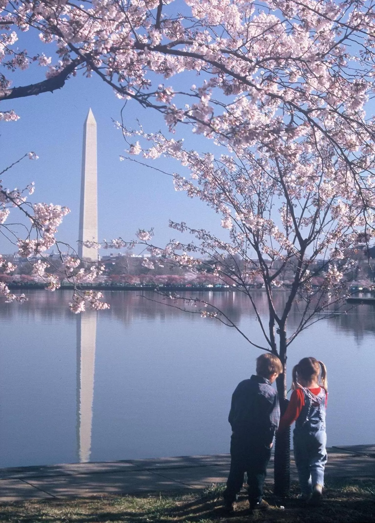 Property building in Homewood Suites by Hilton Falls Church