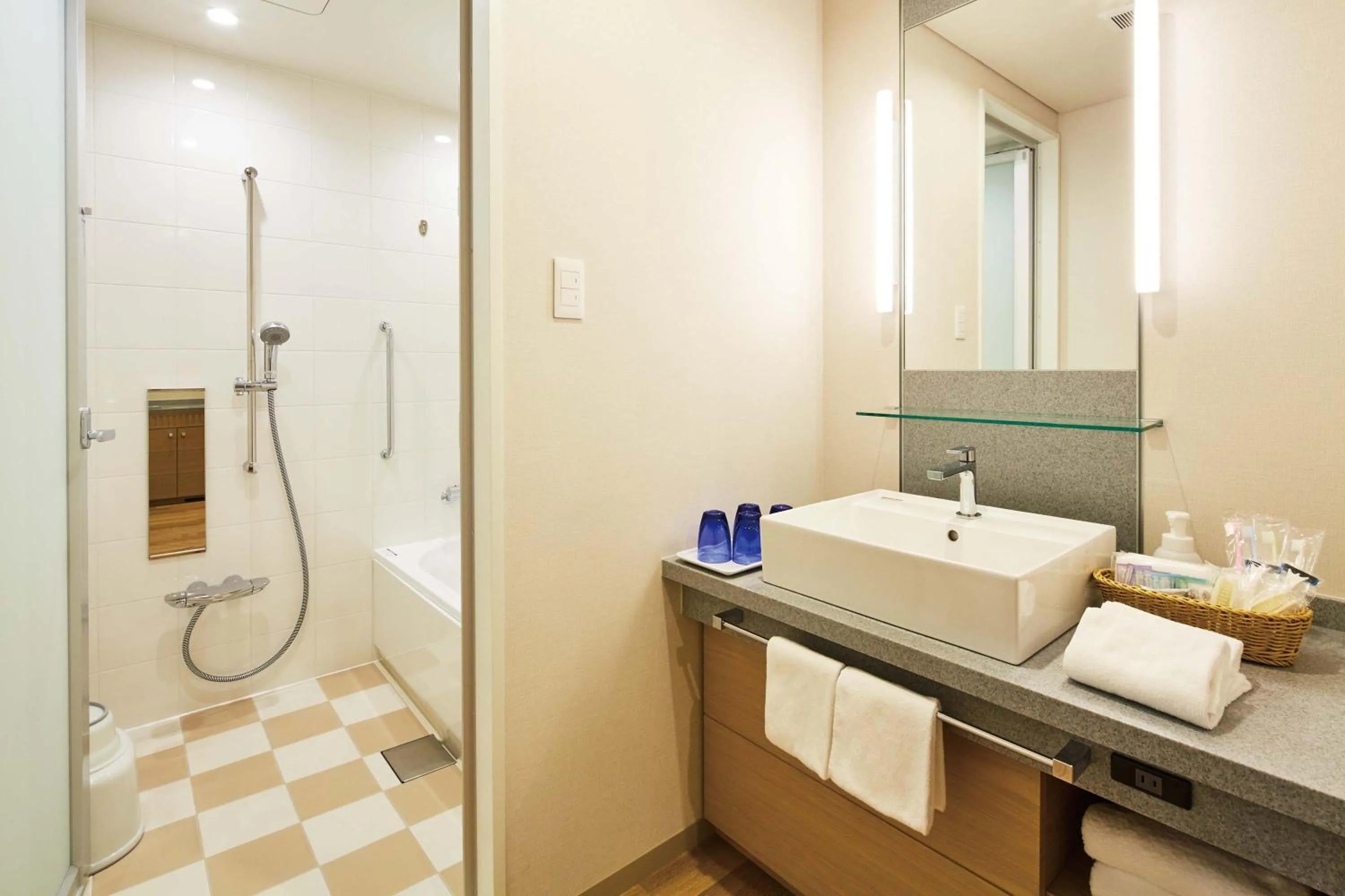 Photo of the whole room in Hotel Emion Tokyo Bay