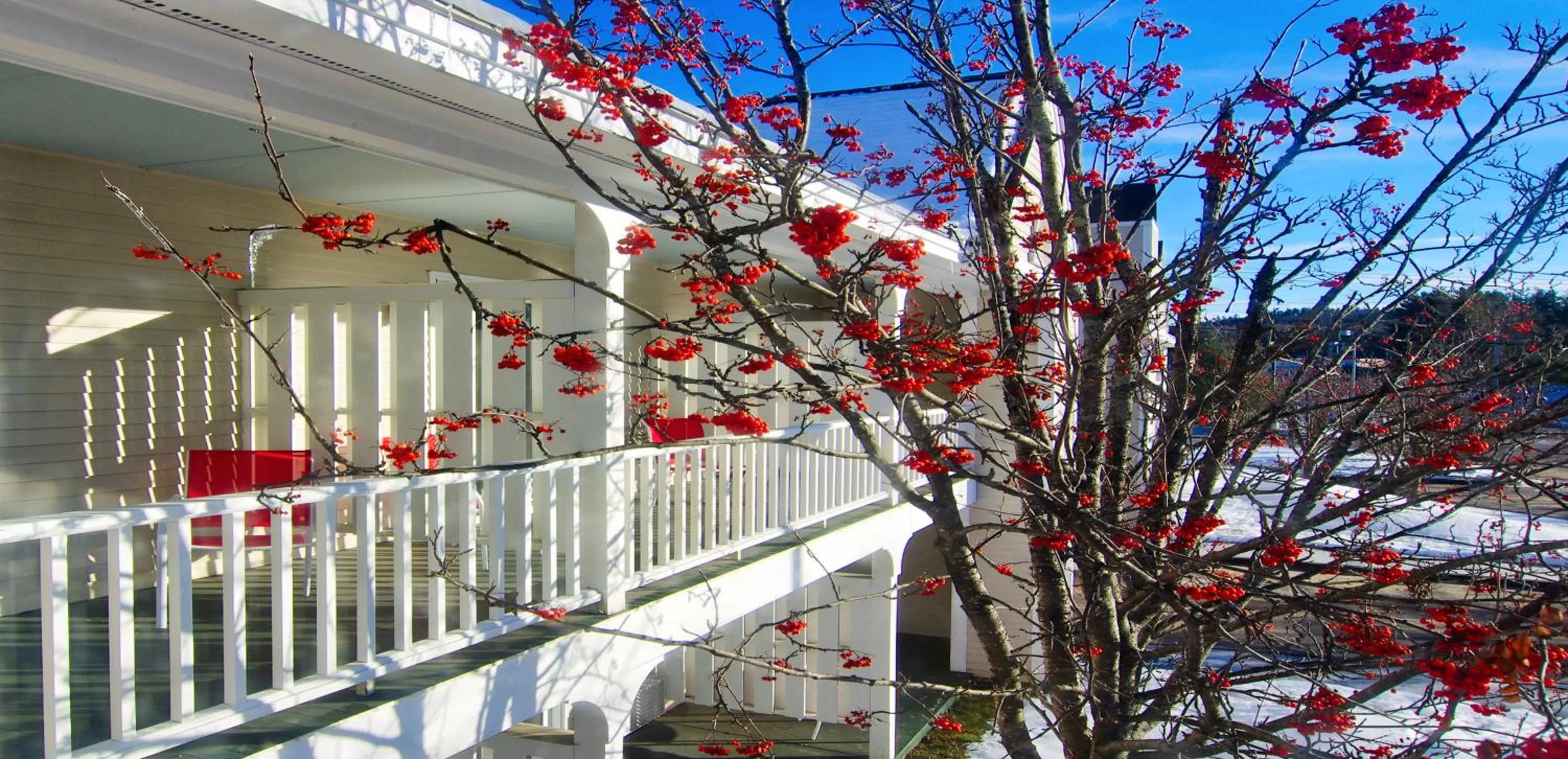 Property building in Green Granite Inn, Ascend Hotel Collection