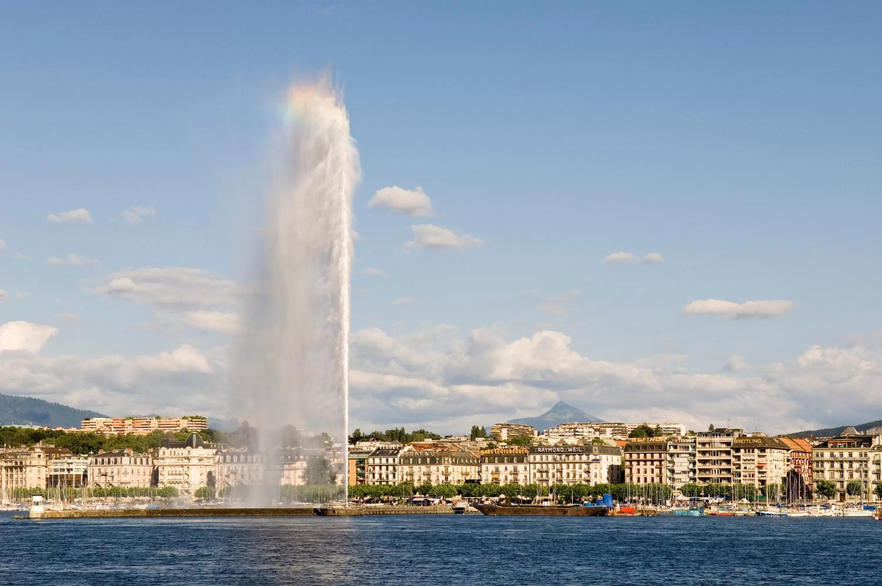 Area and facilities in Novotel Suites Genève Aéroport