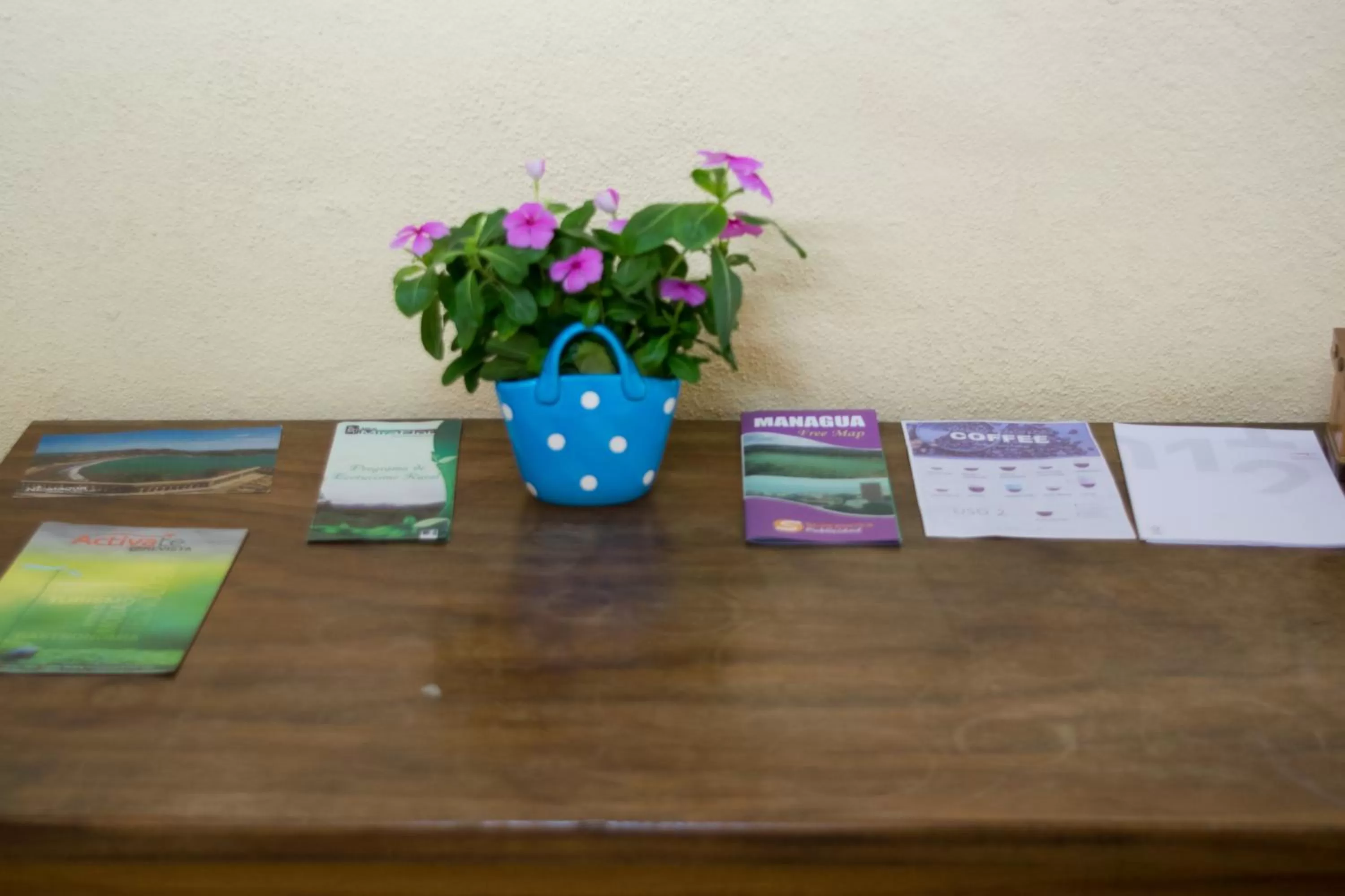 Business facilities in Hotel Valerie