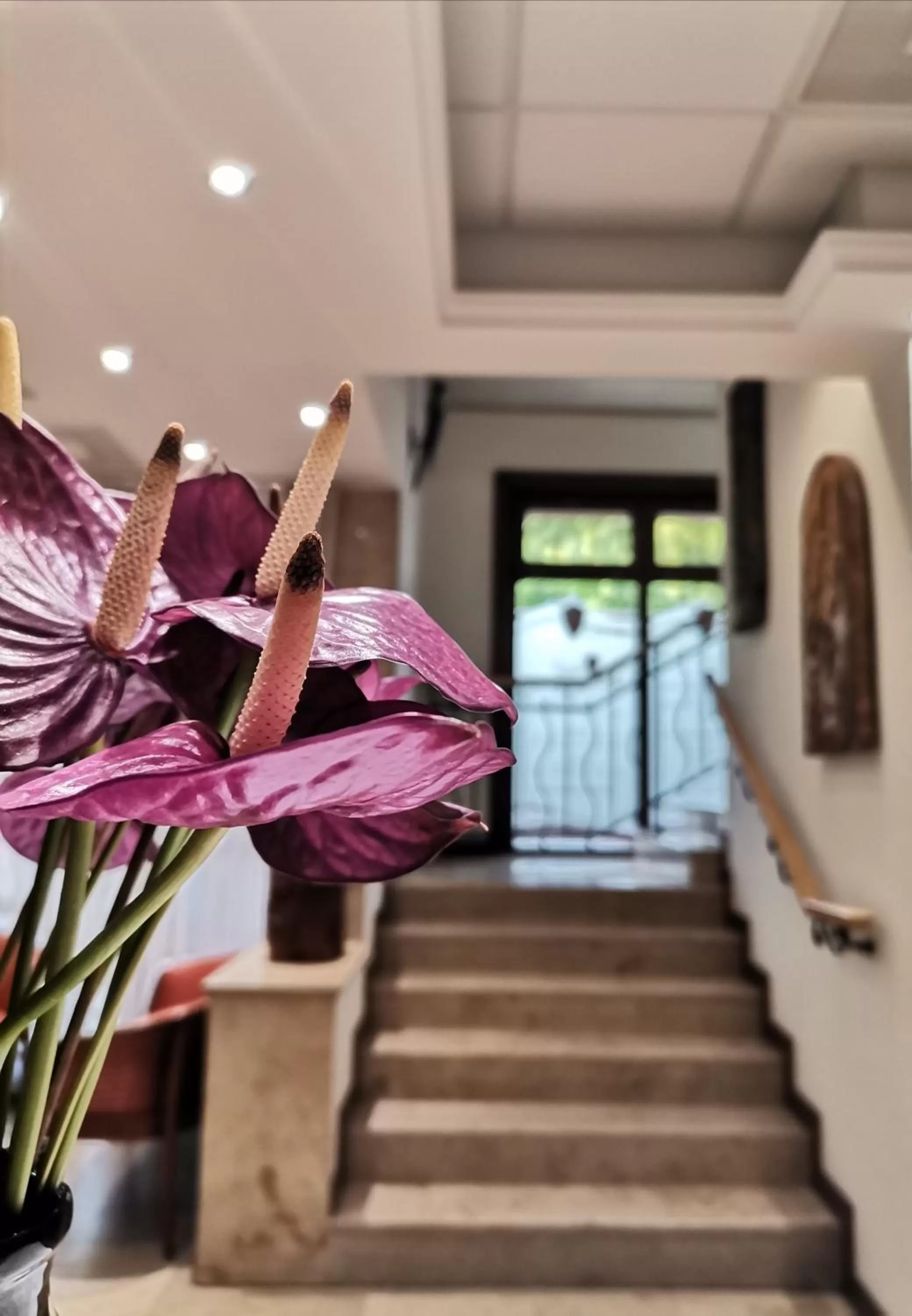 Lobby or reception in Nimród Bioszálloda és Bioétterem