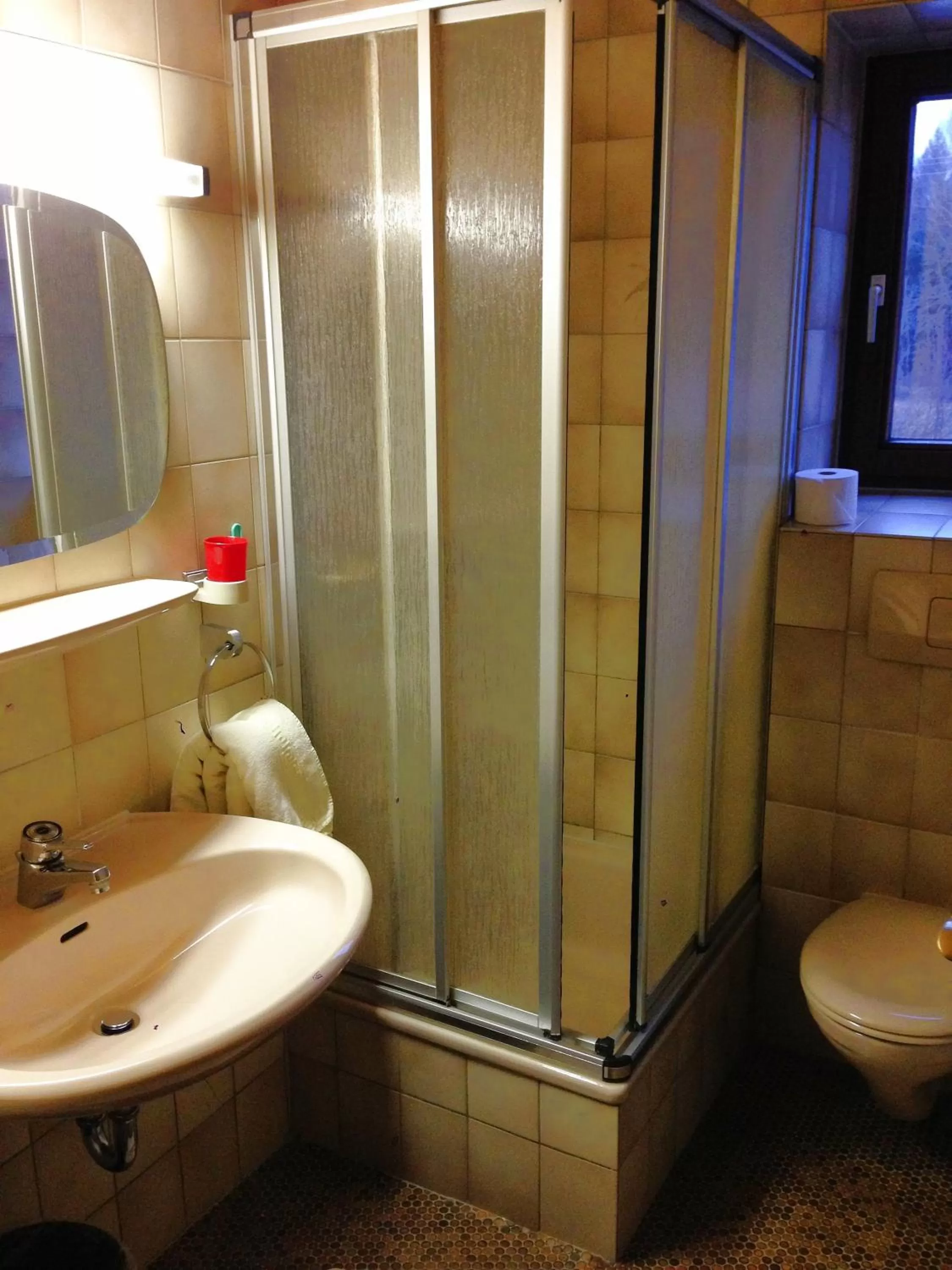 Shower, Bathroom in Beim Haxenwirt