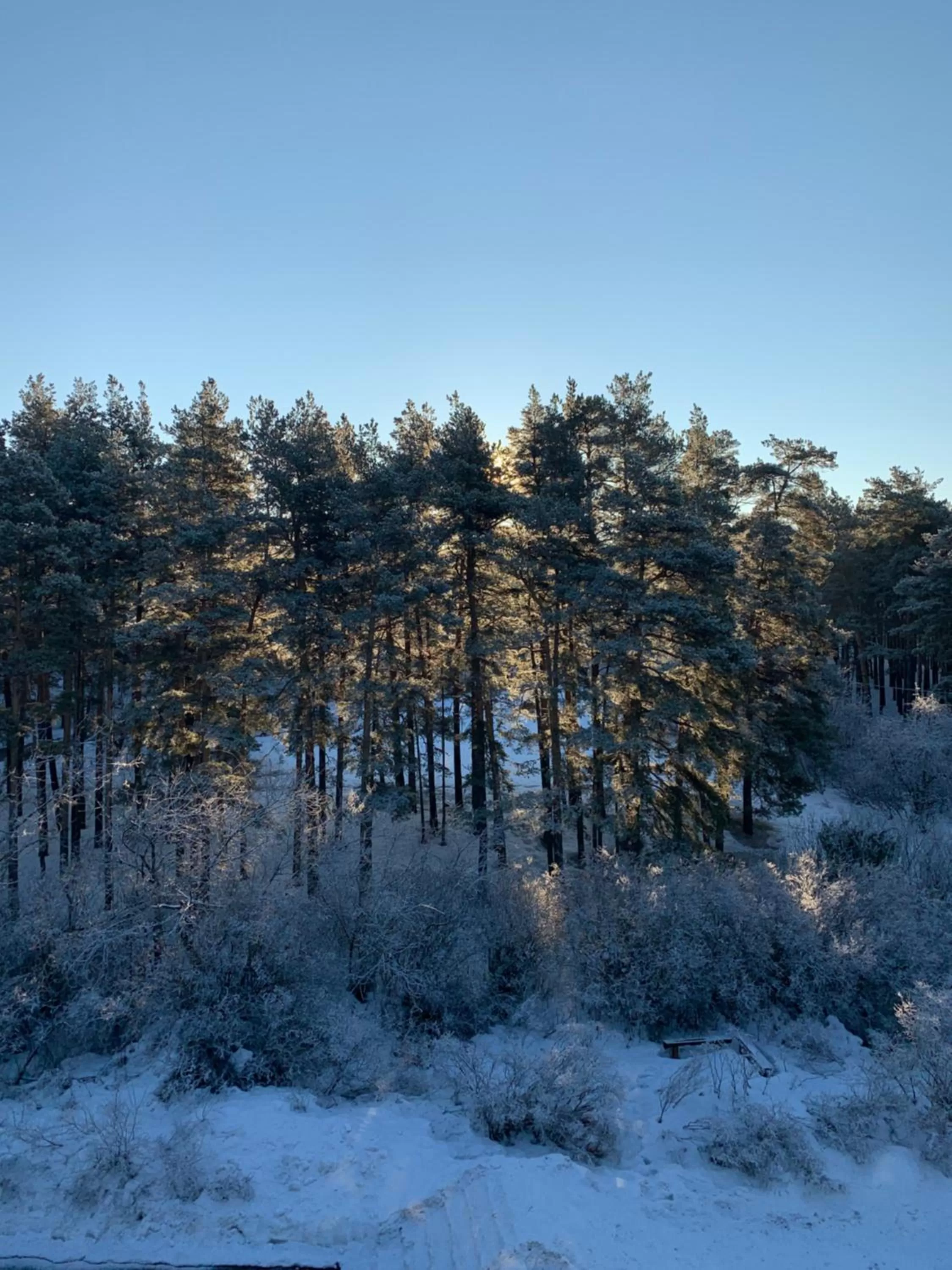 View (from property/room), Winter in Zhaylau Hotel
