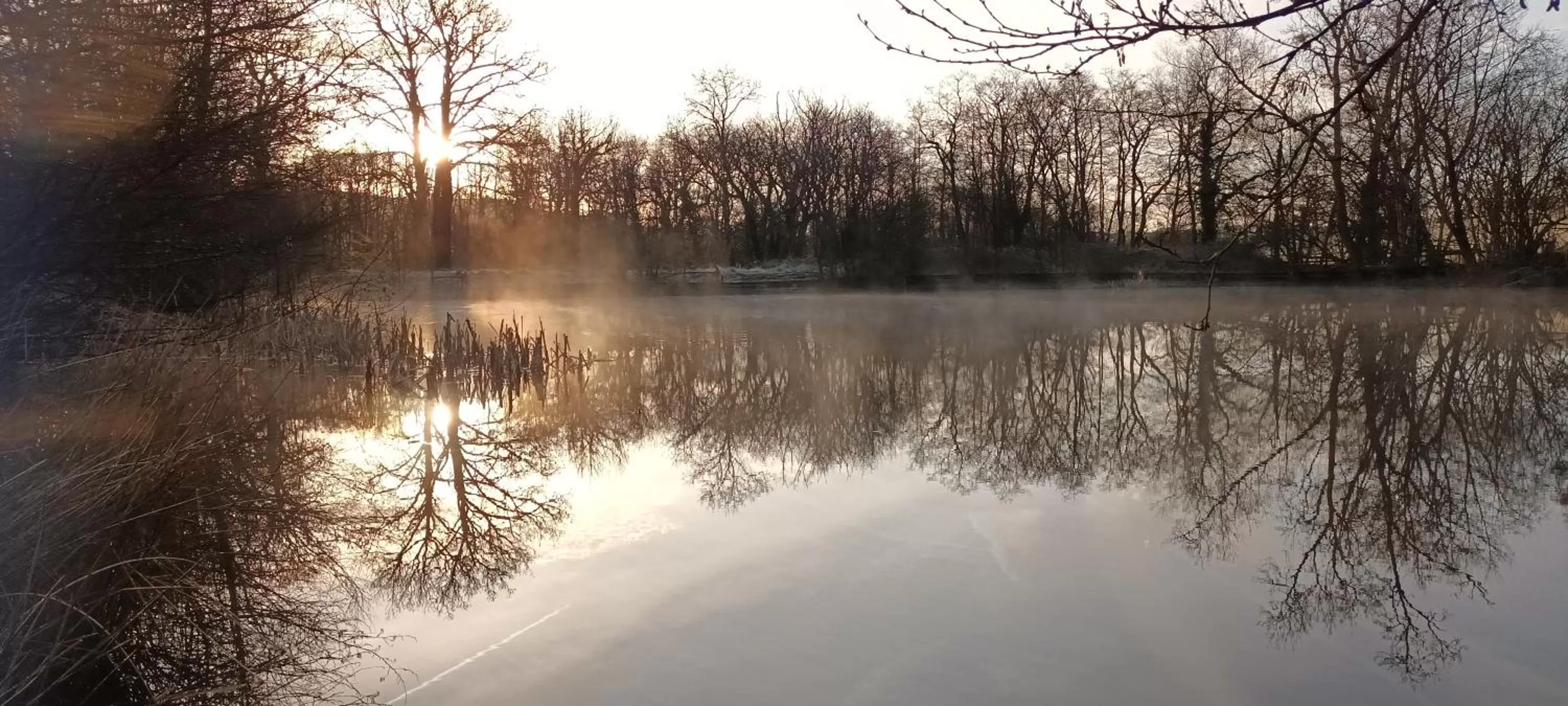 Natural landscape in Henllys Estate B and B