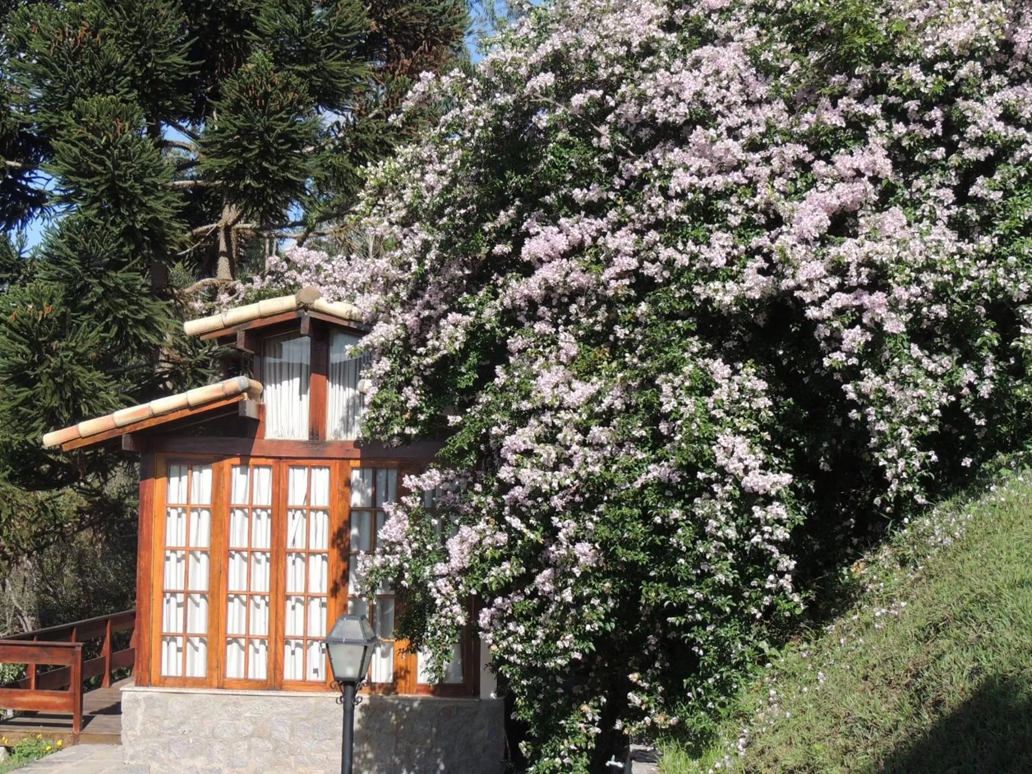 Pousada R.N.C. Nosso Paraíso