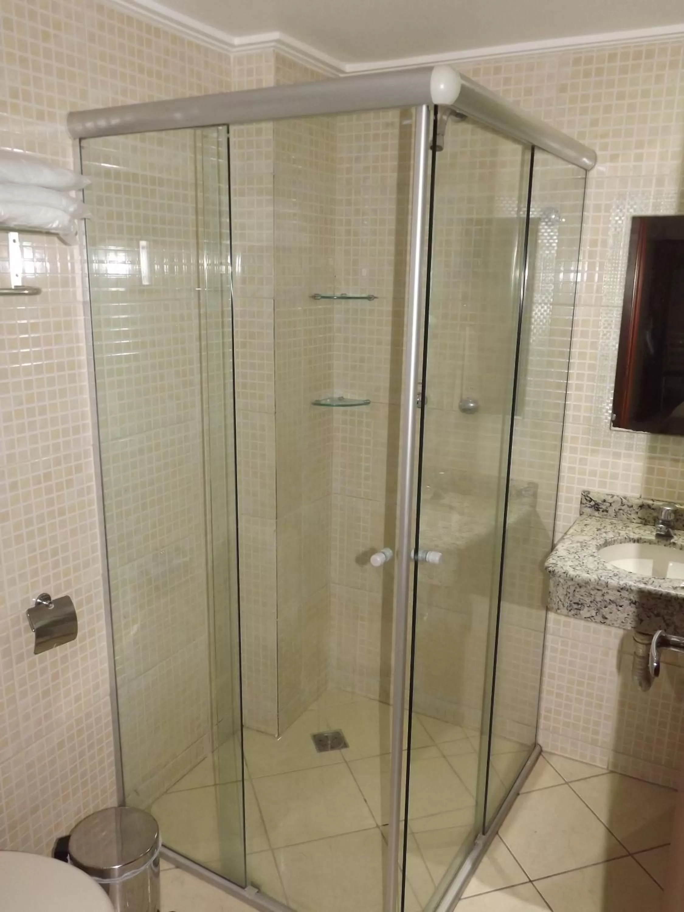 Shower, Bathroom in Alfa Plaza Hotel