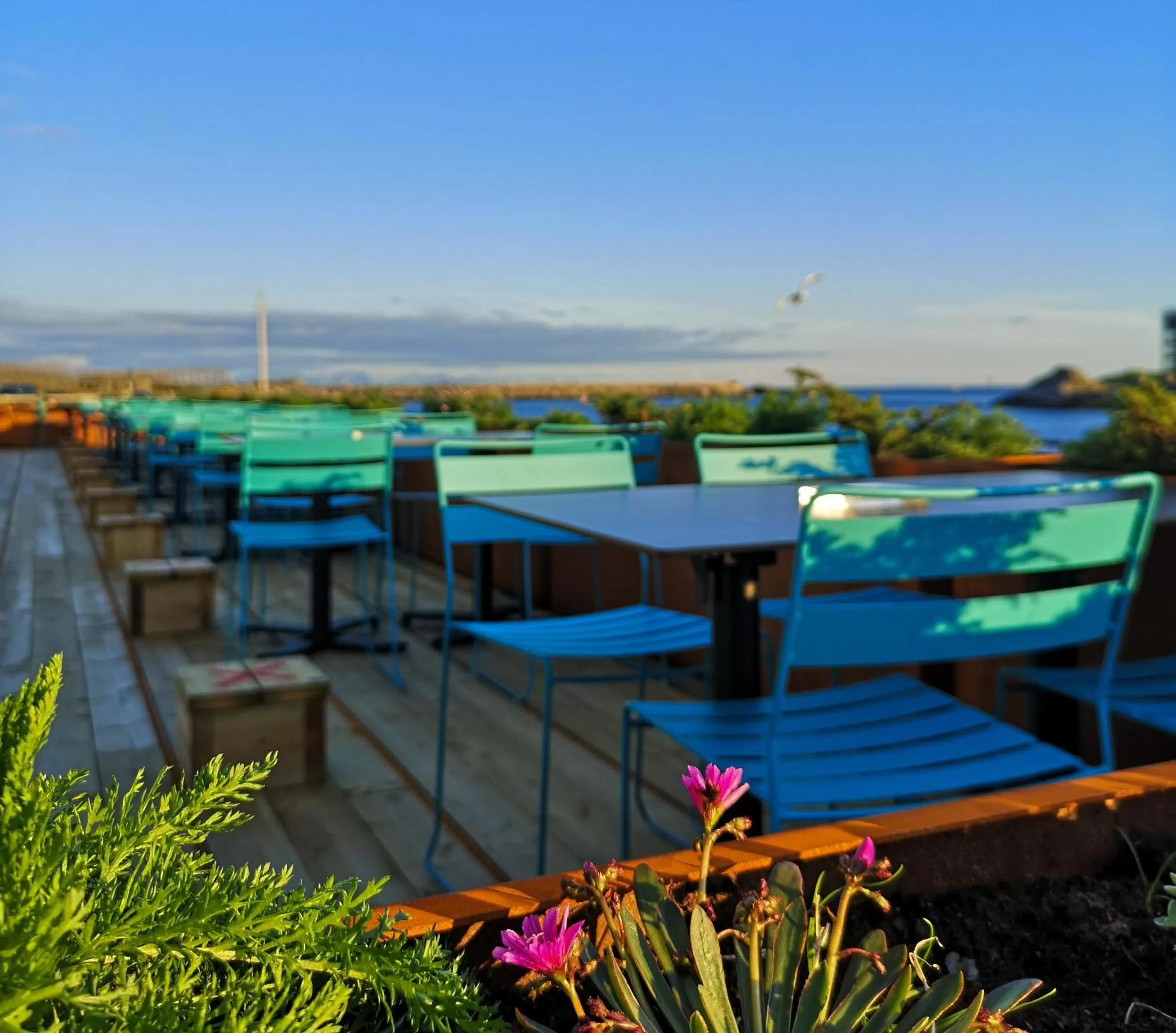 Balcony/Terrace in Thon Hotel Svolvær