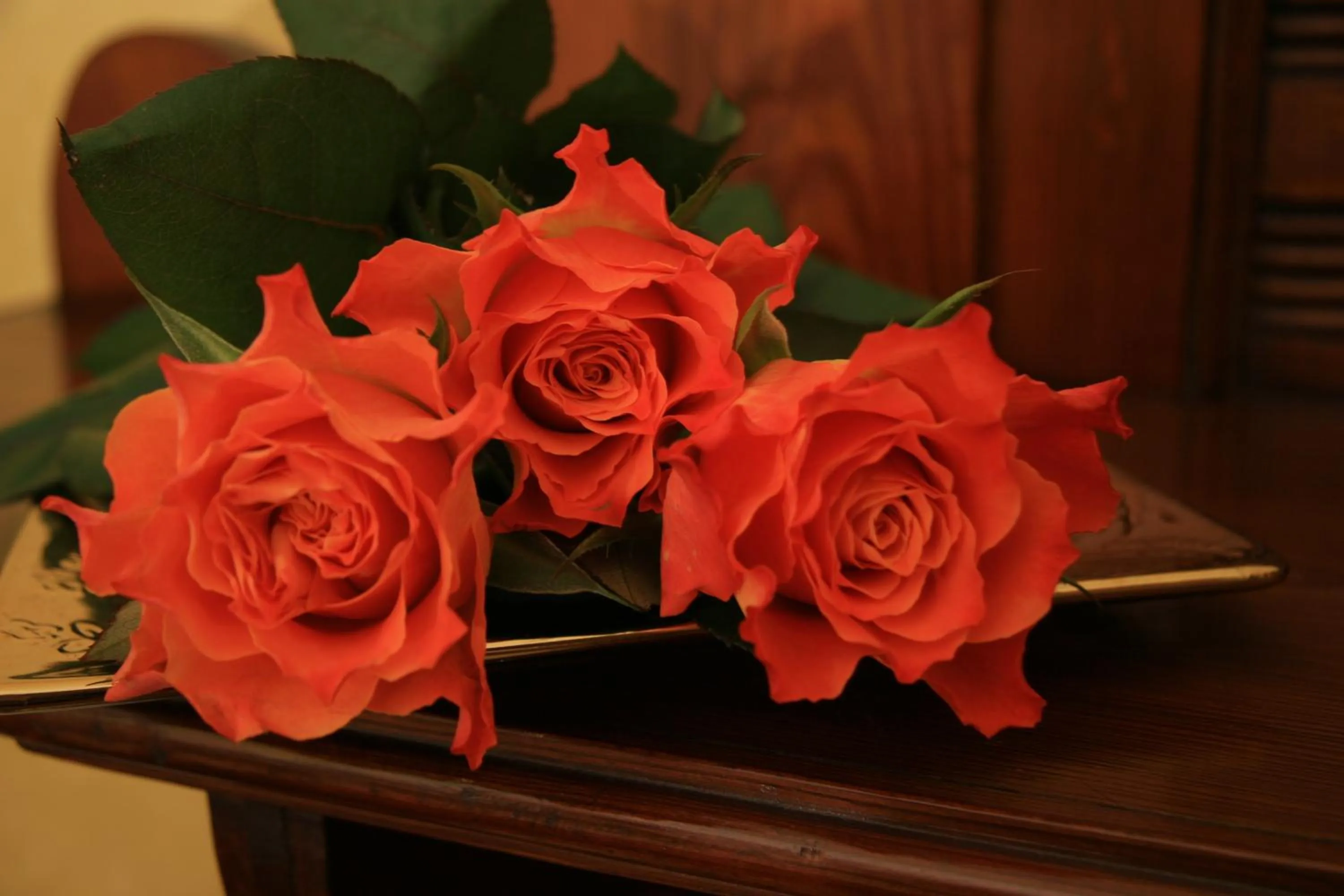Decorative detail in Hotel La Rescossa