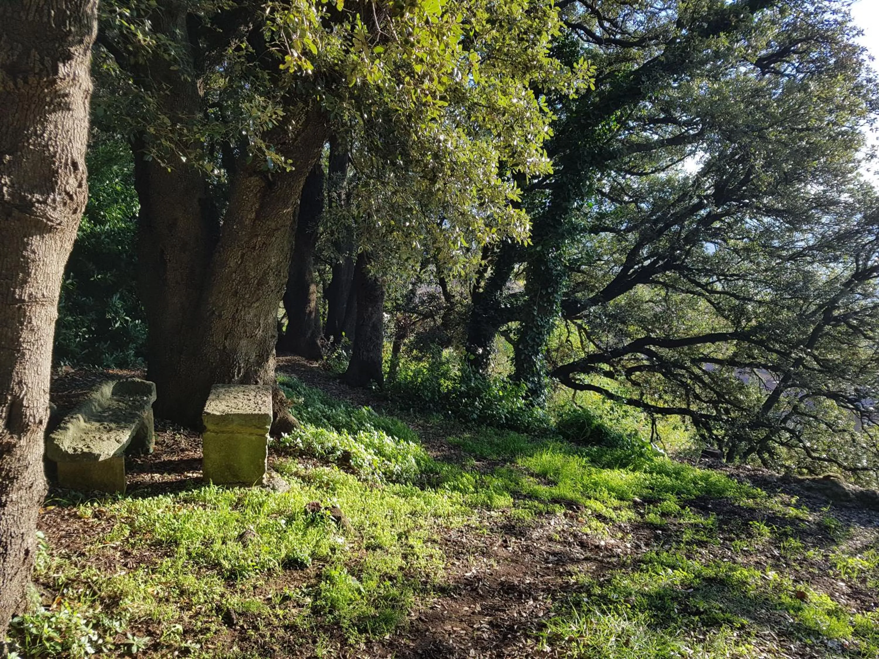 Garden in Villa Nencini