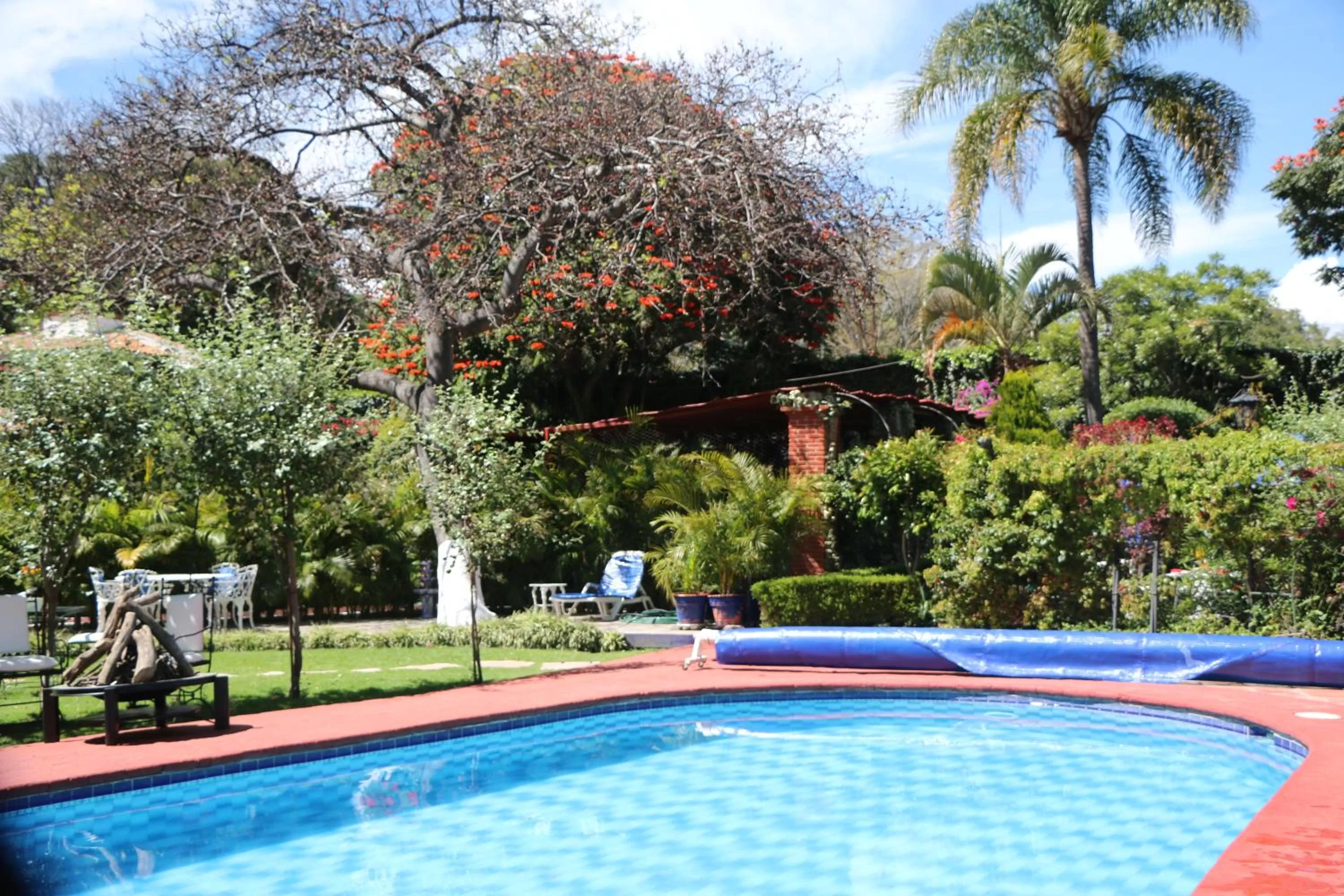 Swimming pool in Posada Los Alcatraces