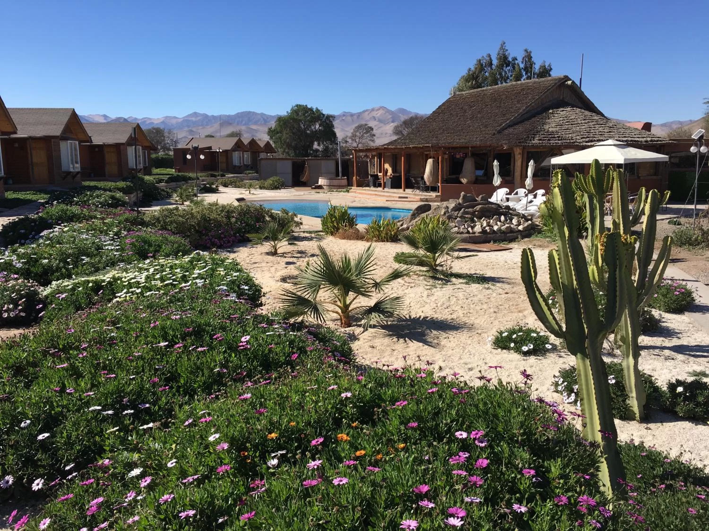 Day, Garden in Hotel El Bramador