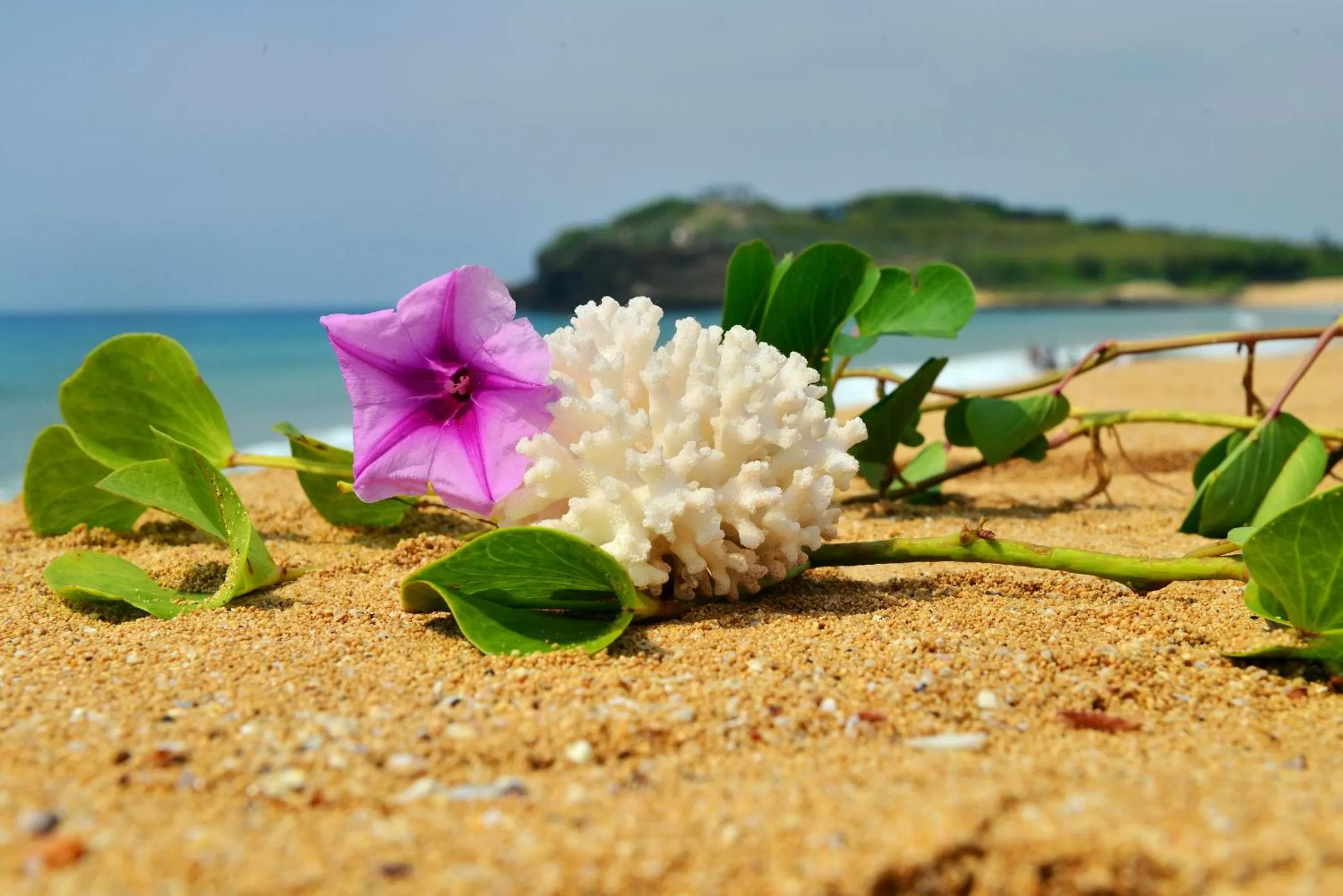 Bird's eye view in Beachcastle & Sea View Villa