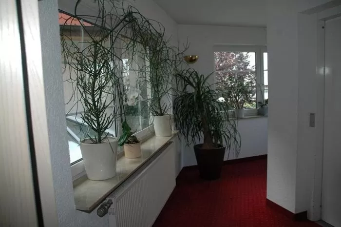 Other in Mayers Waldhorn - zwischen Reutlingen und Tübingen