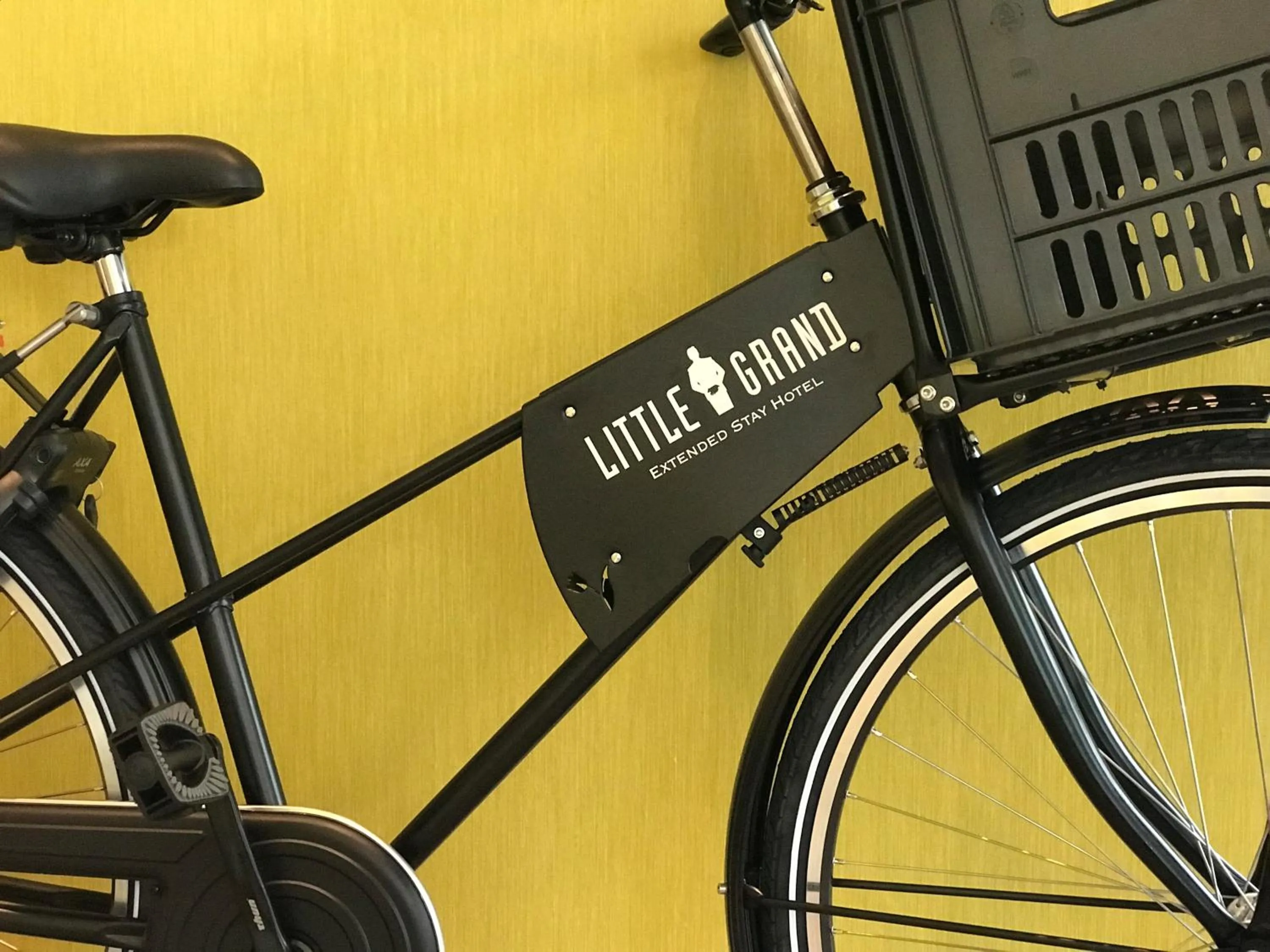 Activities in Little Grand