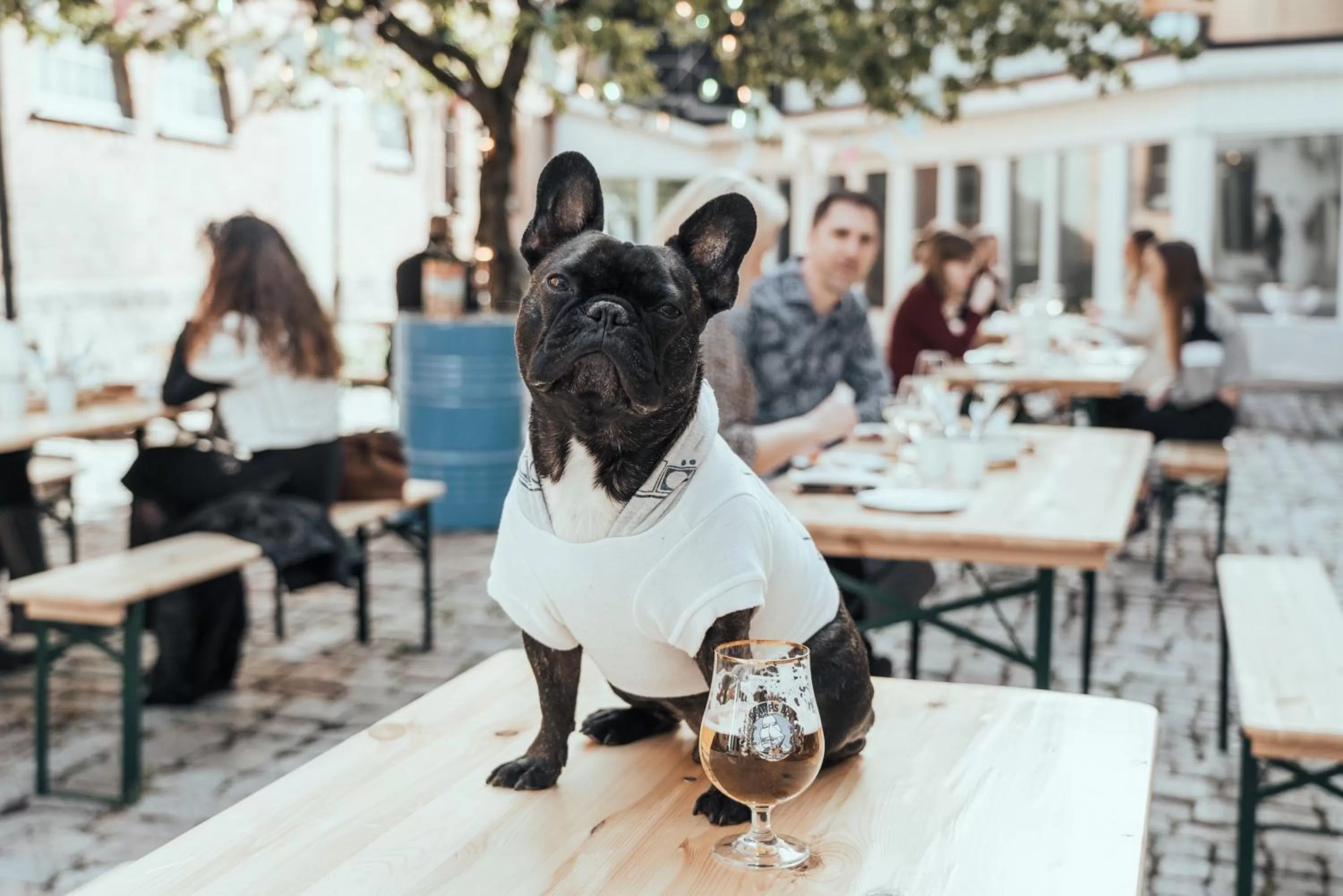 Patio in Botanika Uppsala