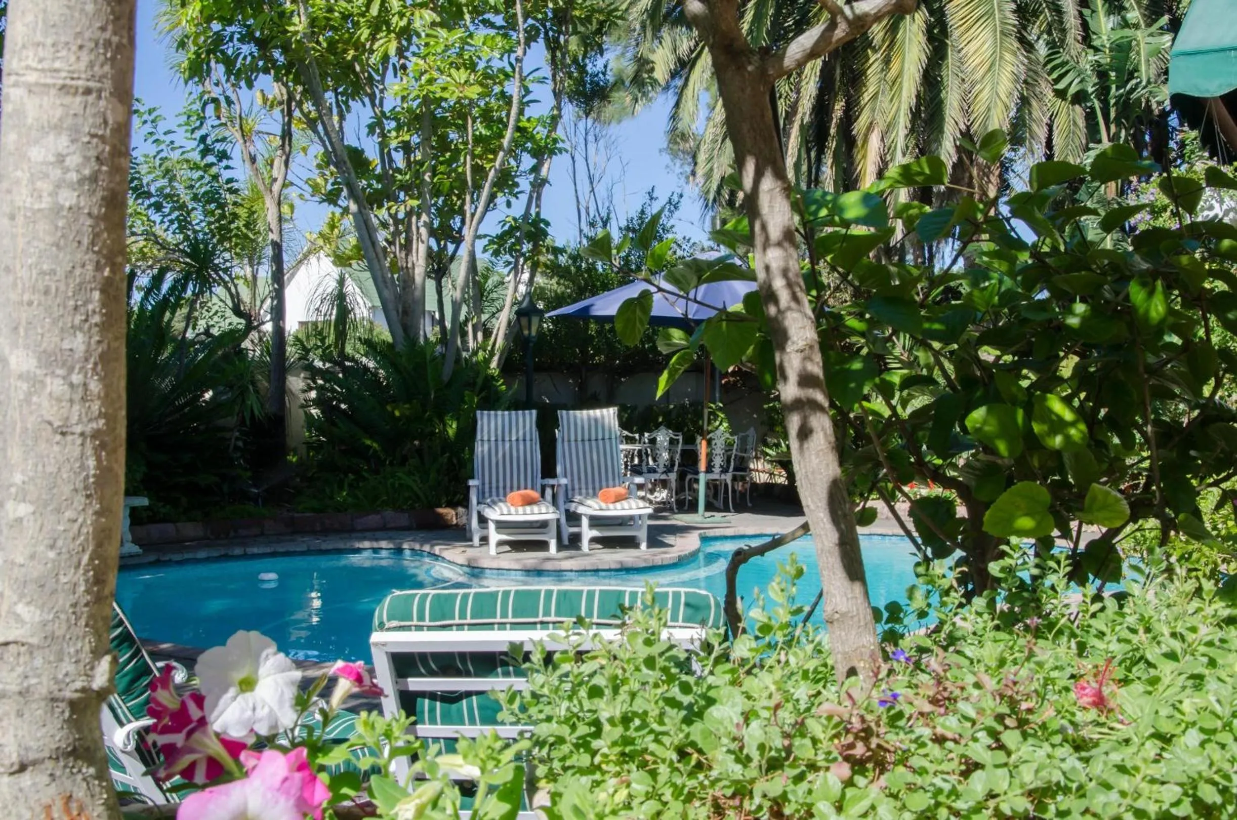 Garden in Brighton Lodge - #Solar Energy #No Loadshedding