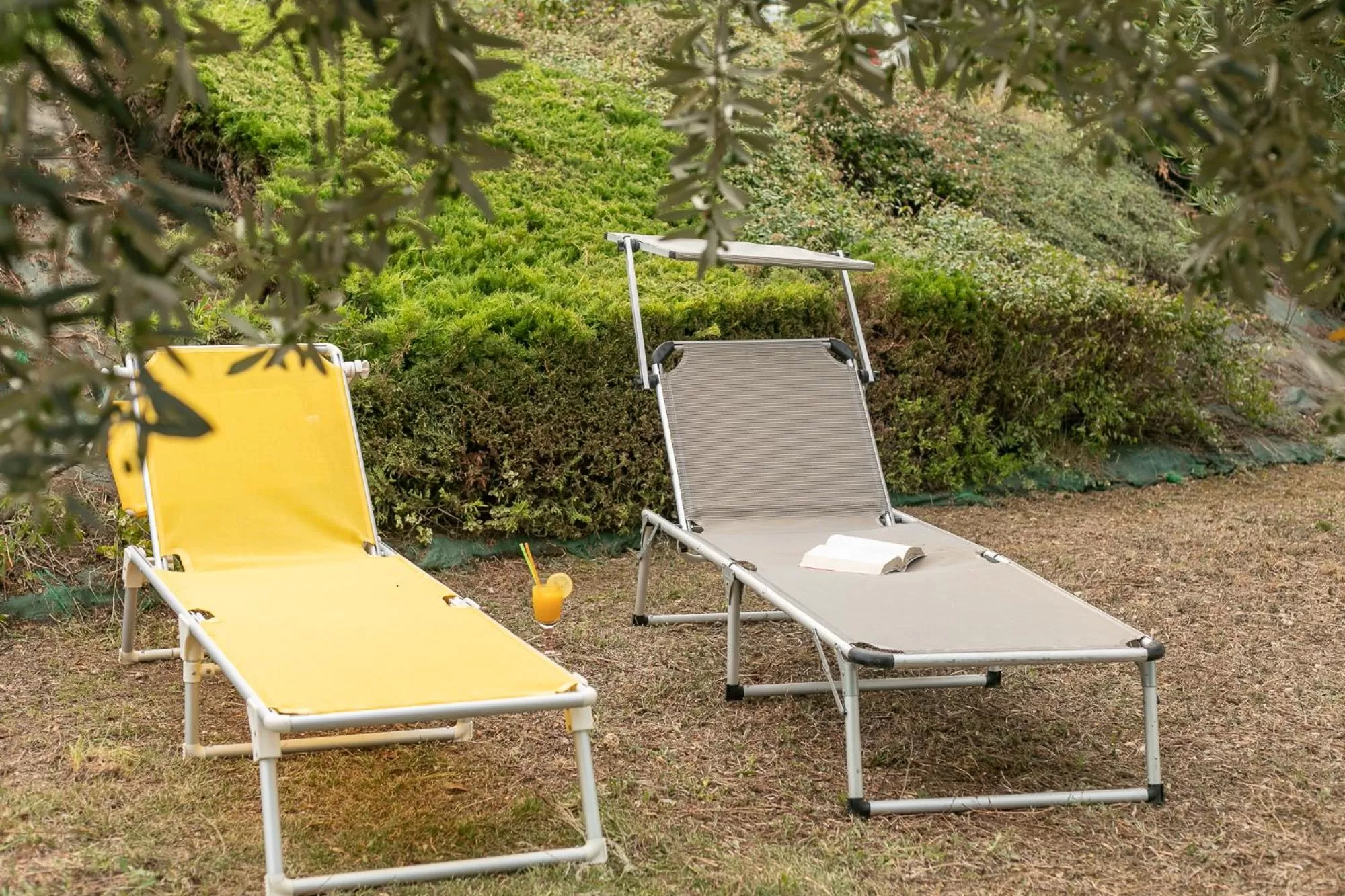 Garden in BellavistaRelax