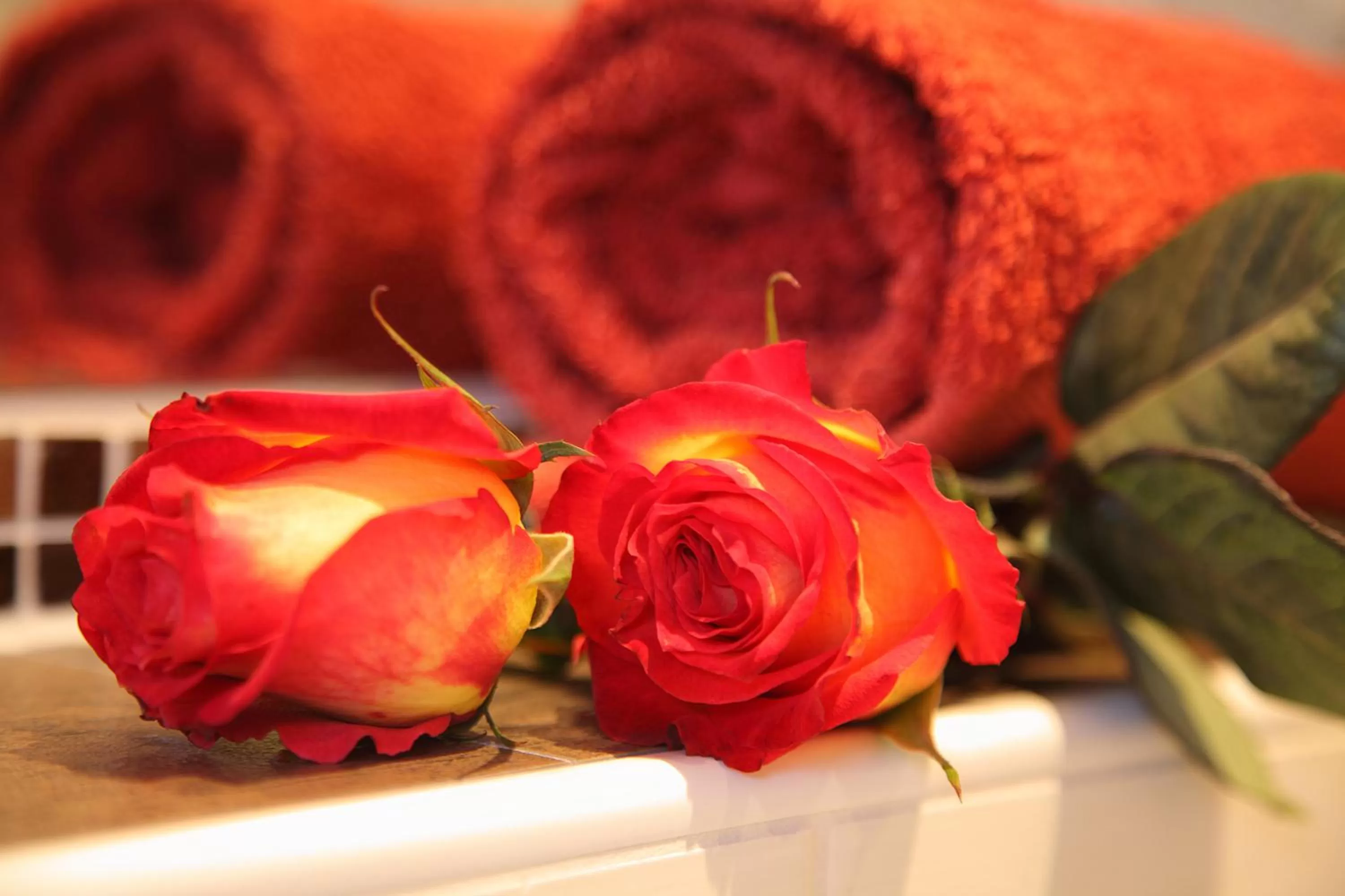 Other in Theresenhof