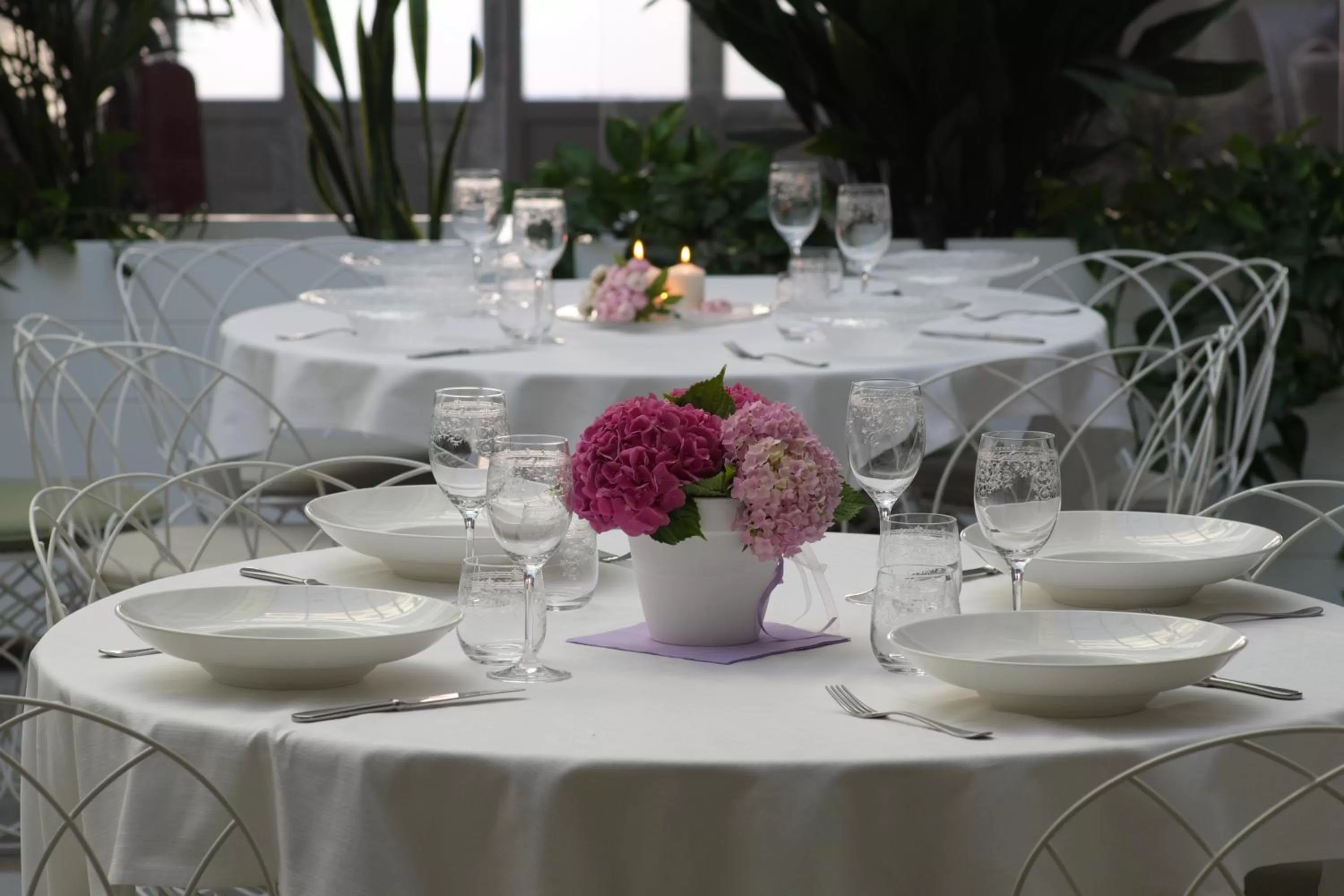 Restaurant/places to eat in Hotel Monteverde