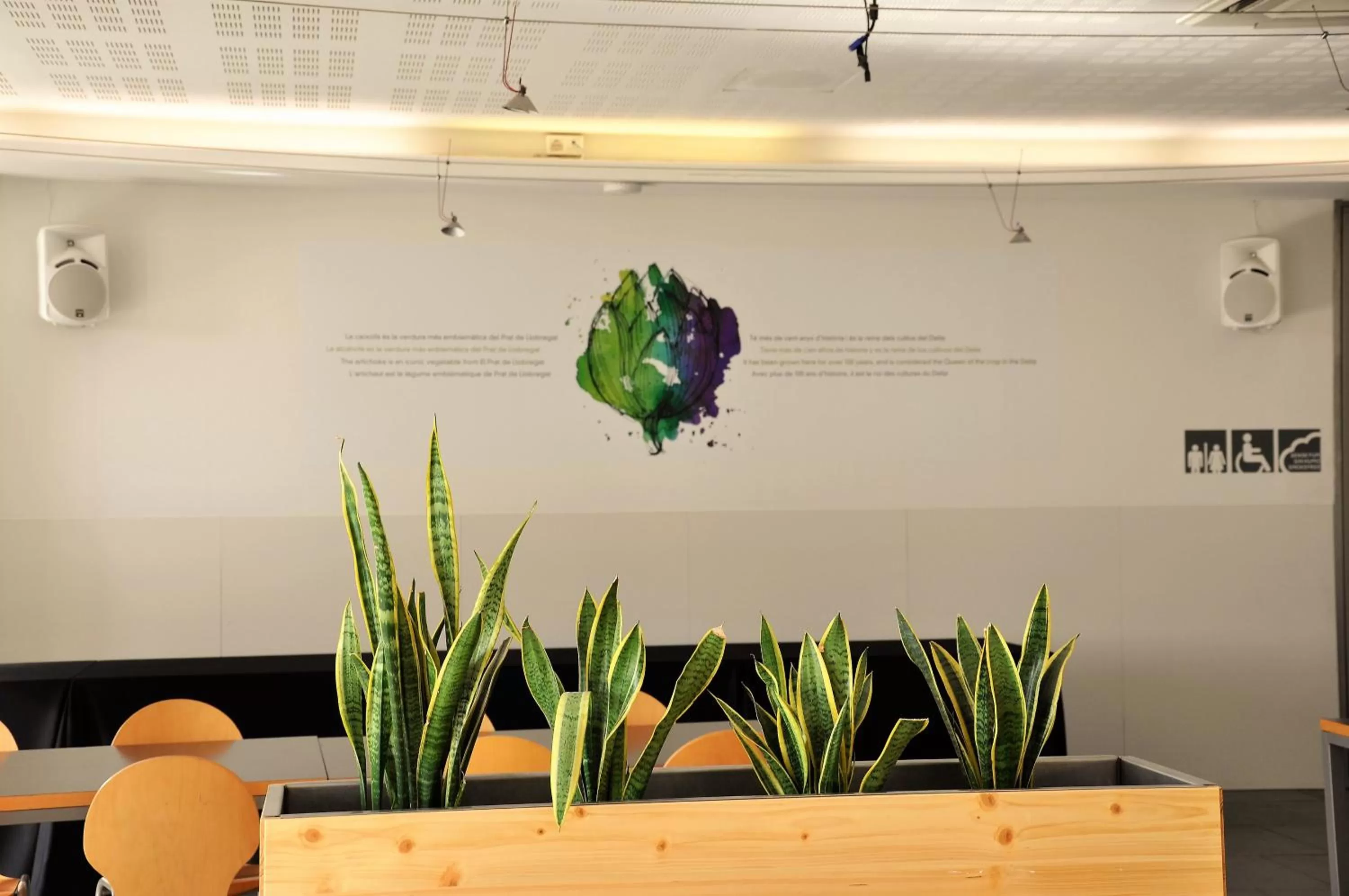 Restaurant/places to eat in Centre Esplai Albergue