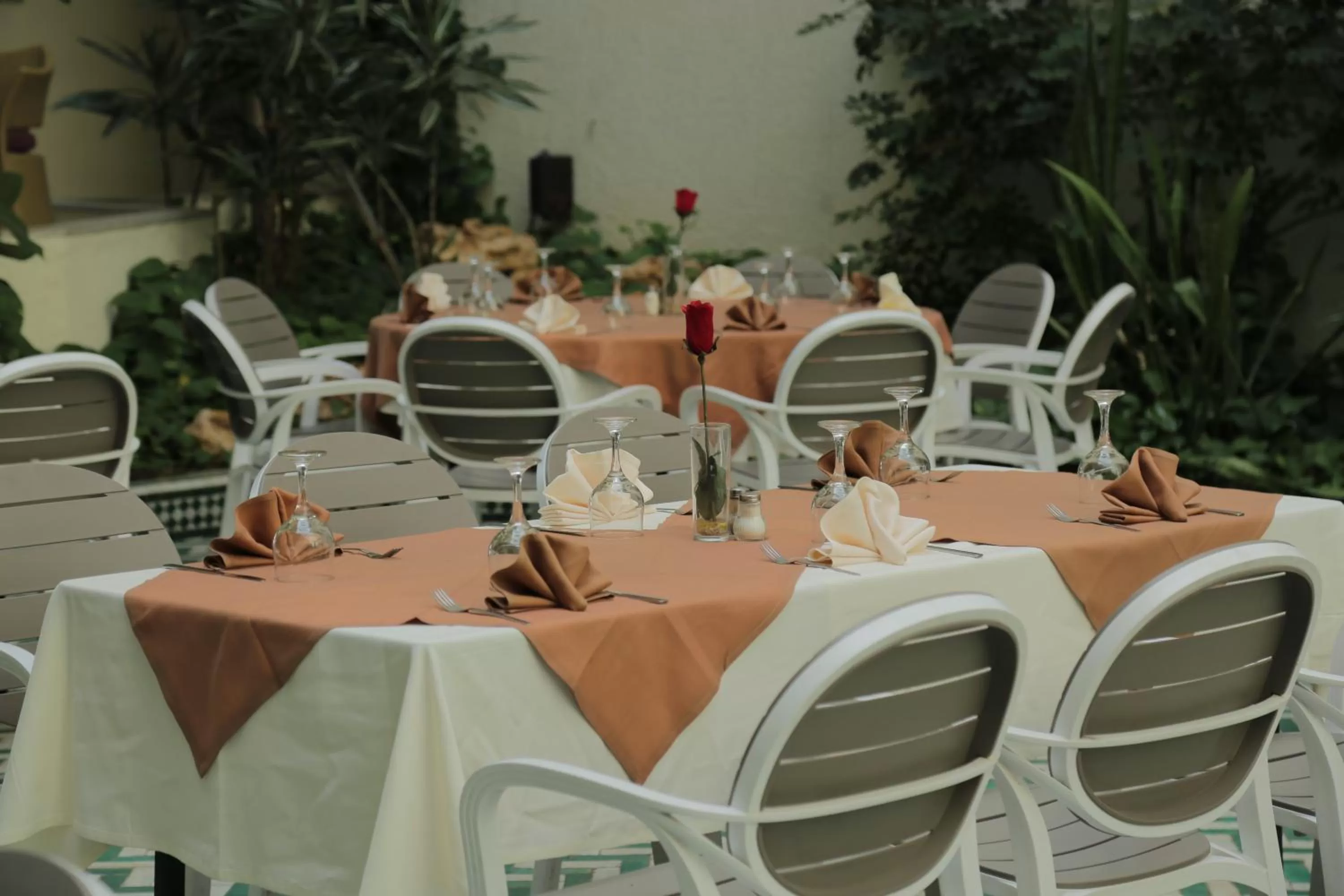 Restaurant/places to eat in Hotel Suisse