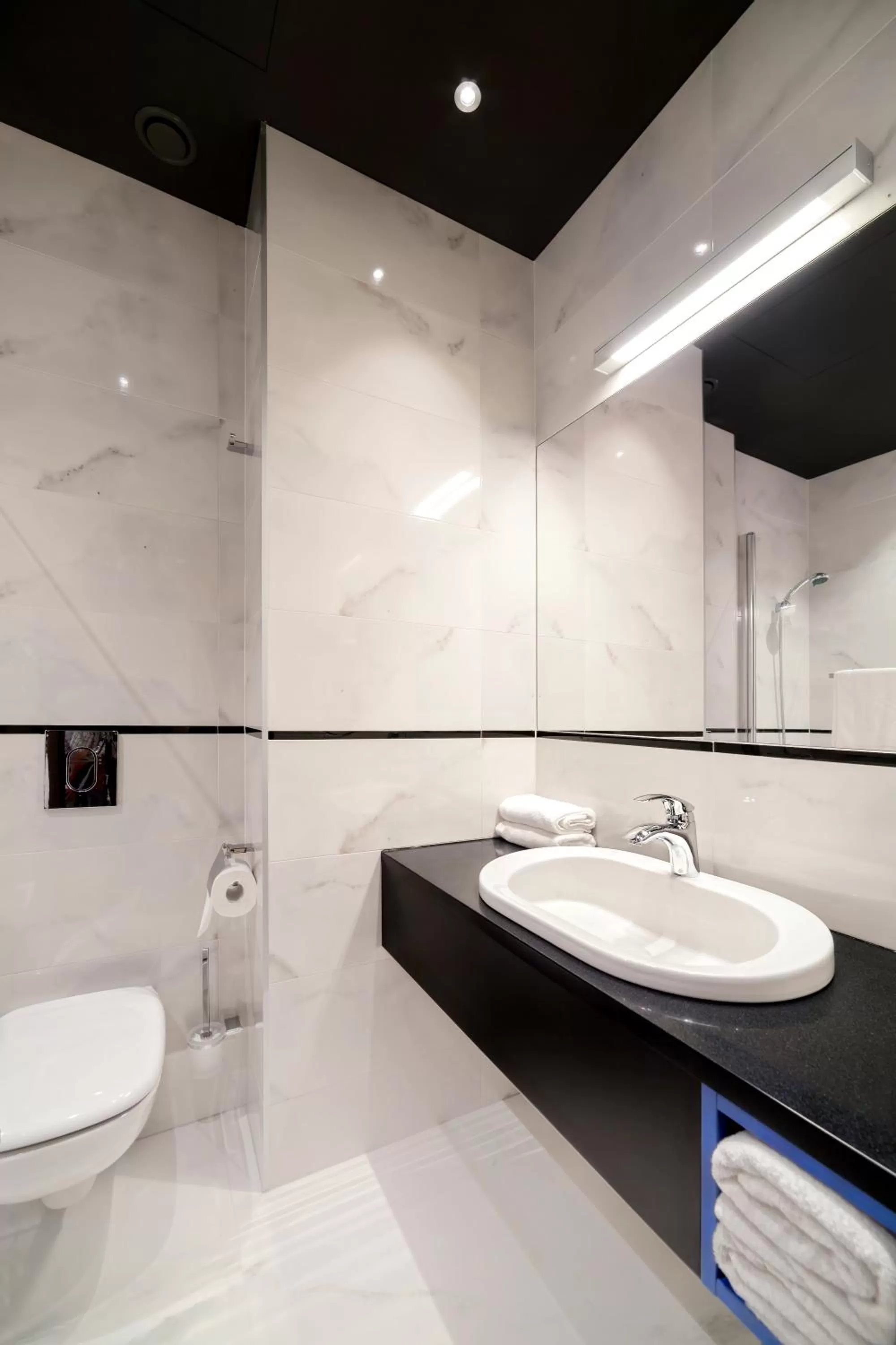 Toilet in Słoneczny Zdrój Medical Spa & Wellness