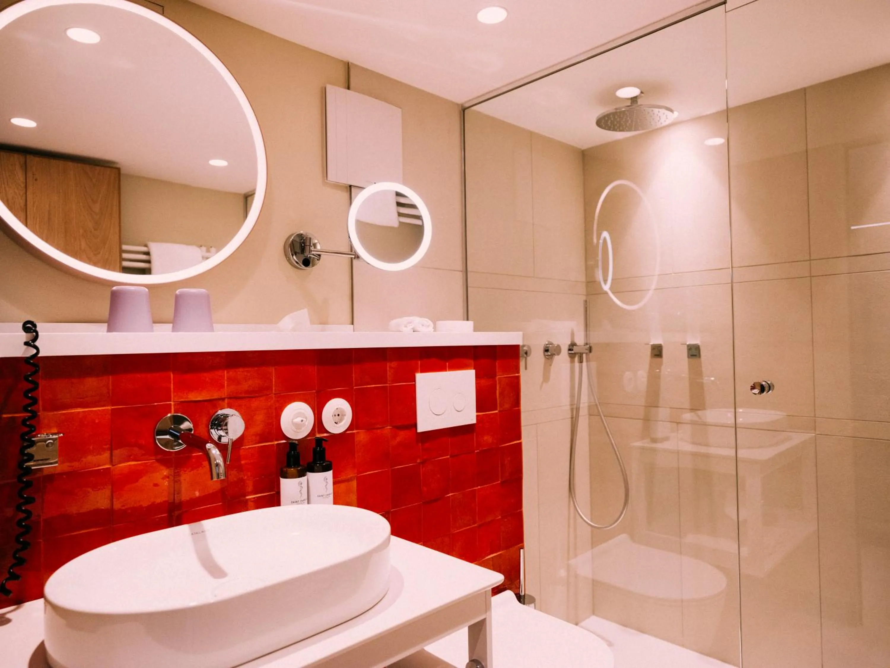 Shower in artHotel Blaue Gans