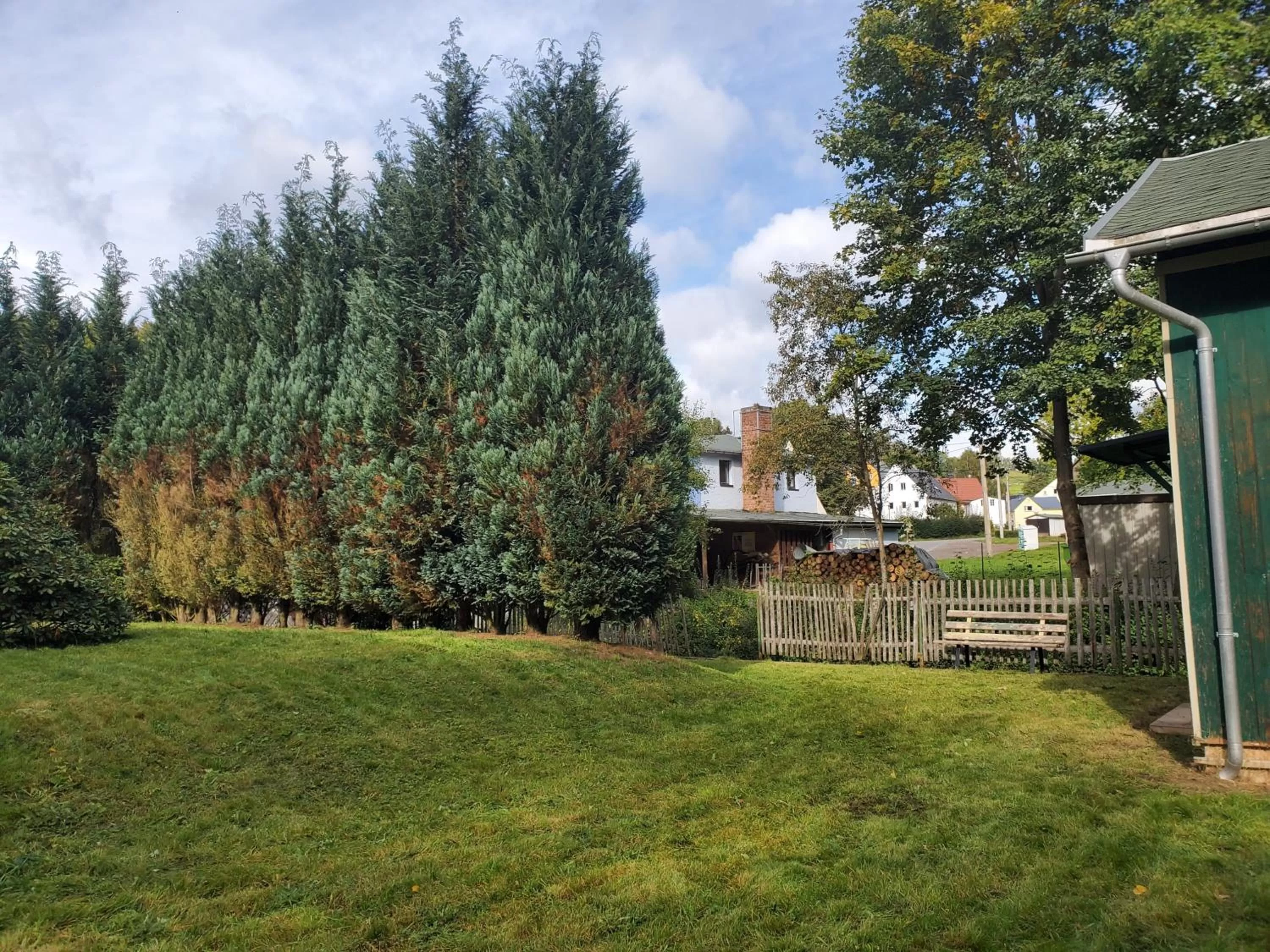 Autumn in Hotel Bielatal