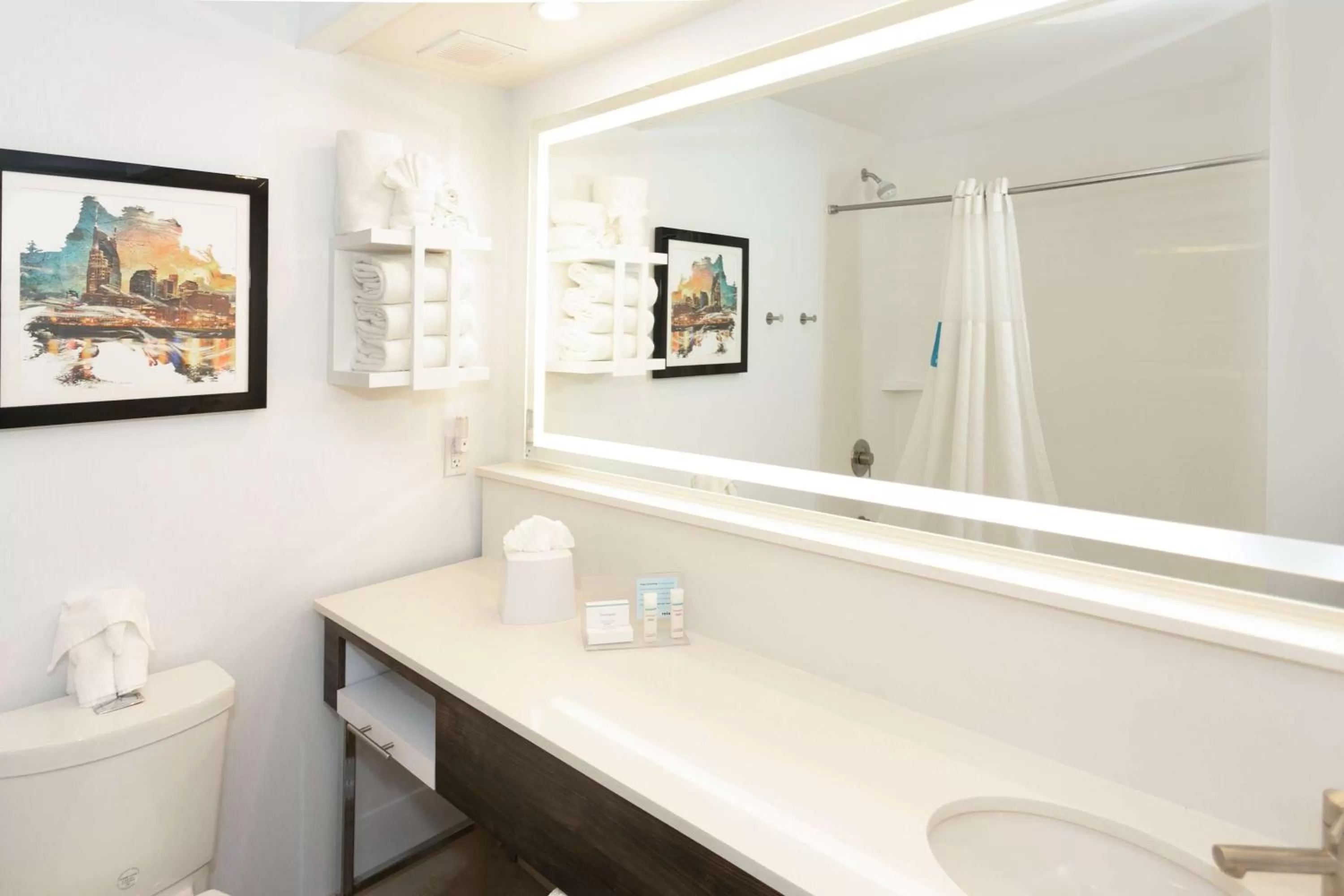 Bathroom in Hampton Inn & Suites Nashville-Green Hills