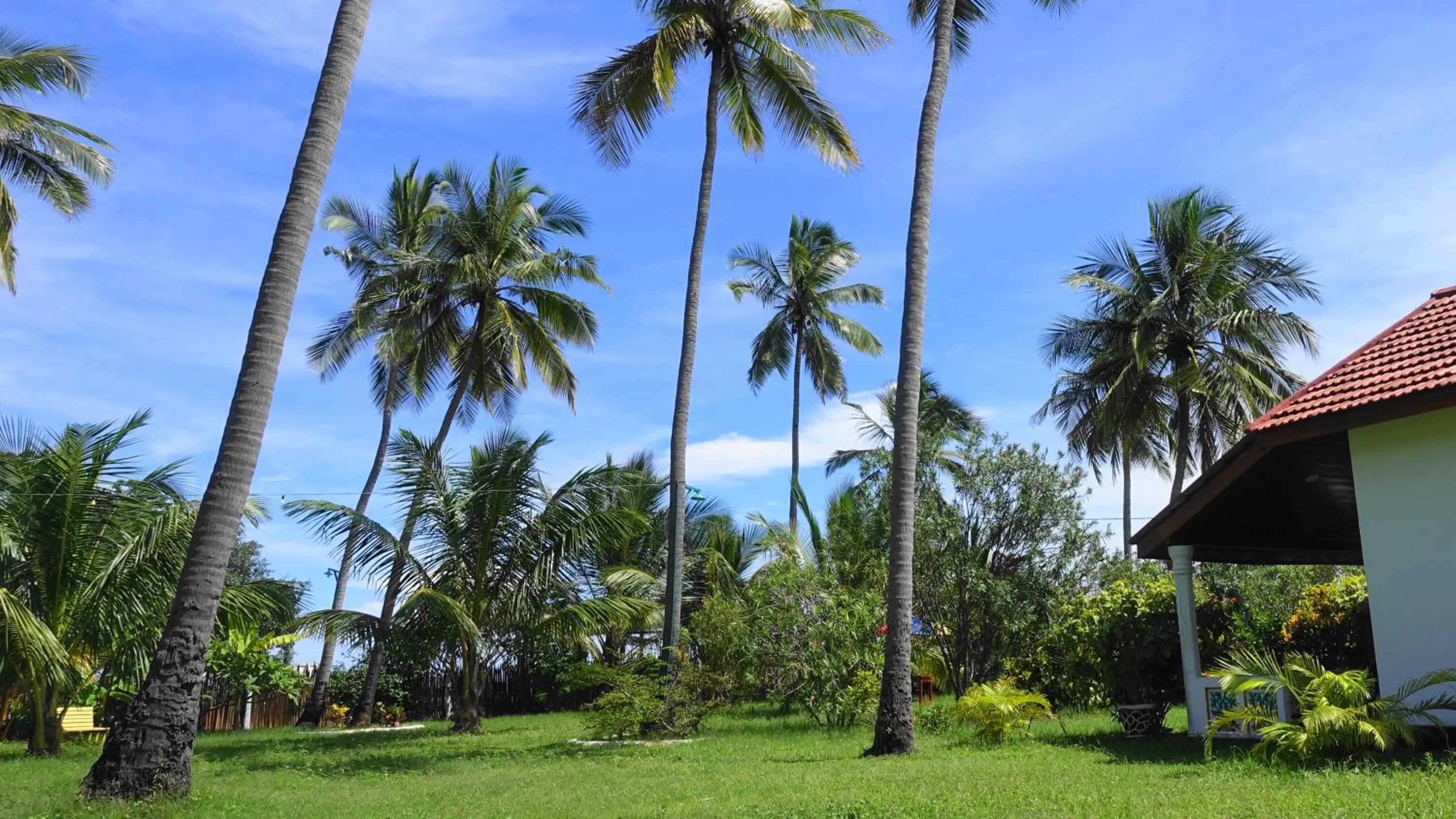 Garden in Regina Beach Bungalow