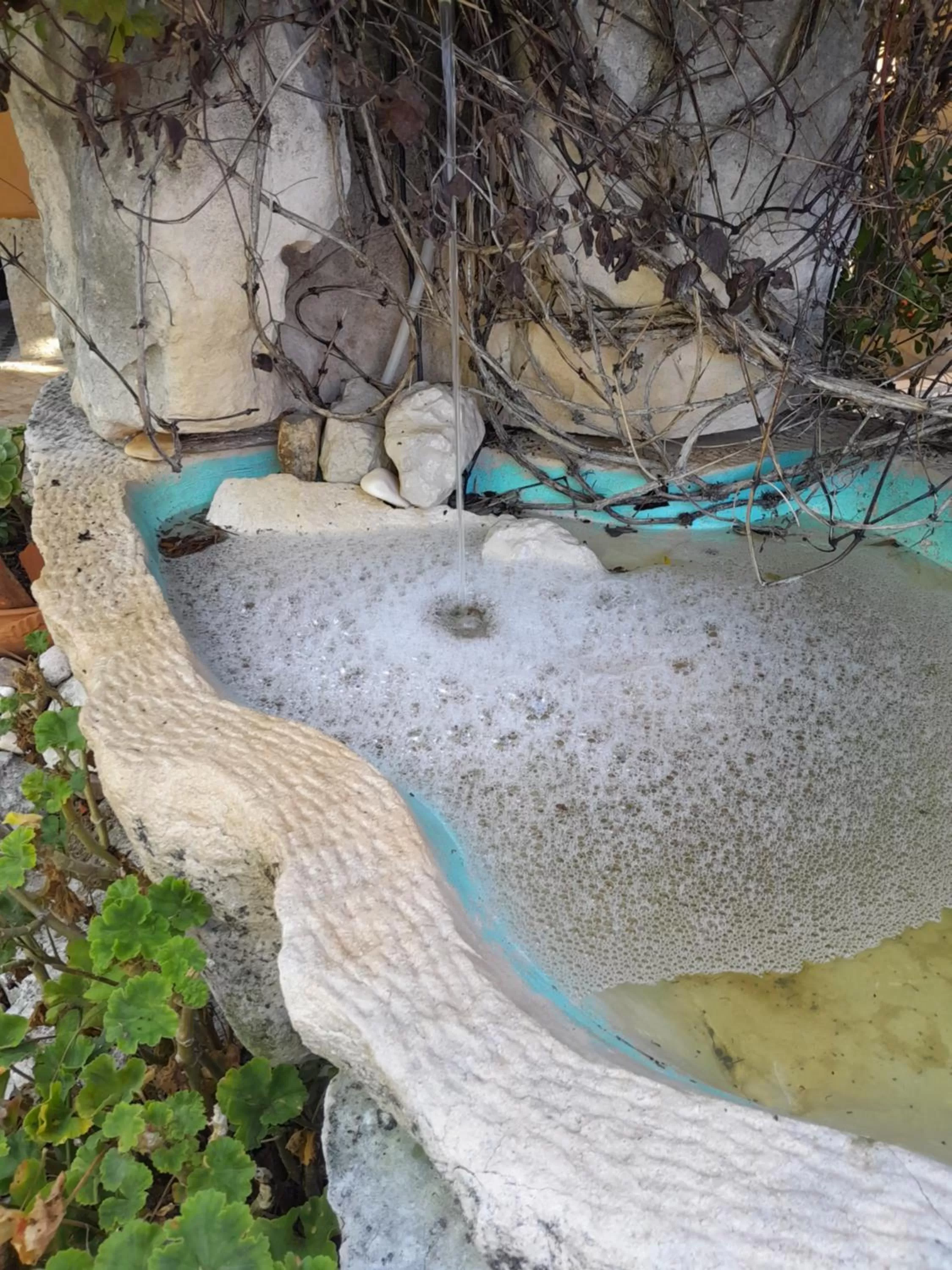 Garden in Refúgio das Artes Guesthouse