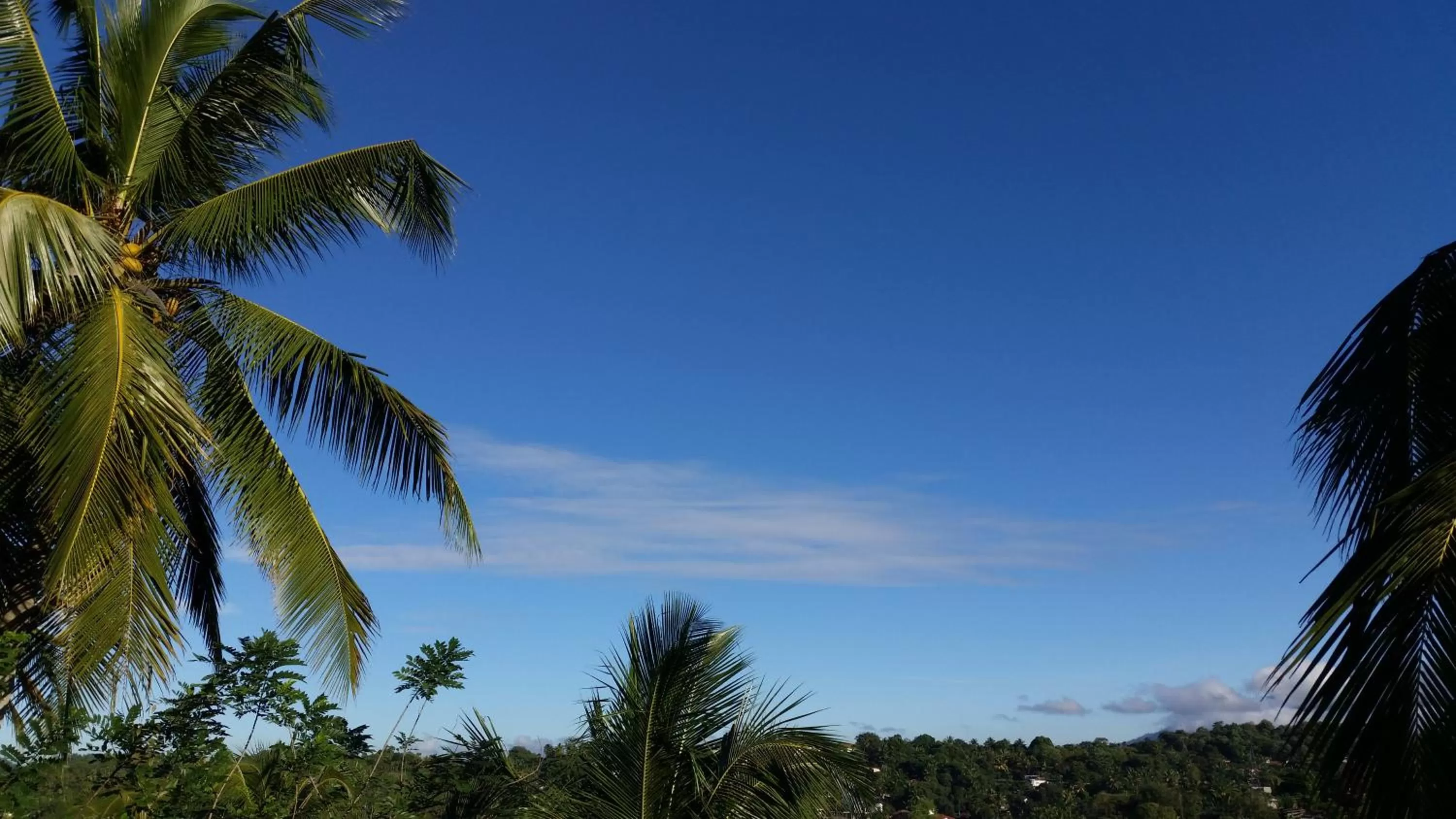 Day in Mahaweli View Inn