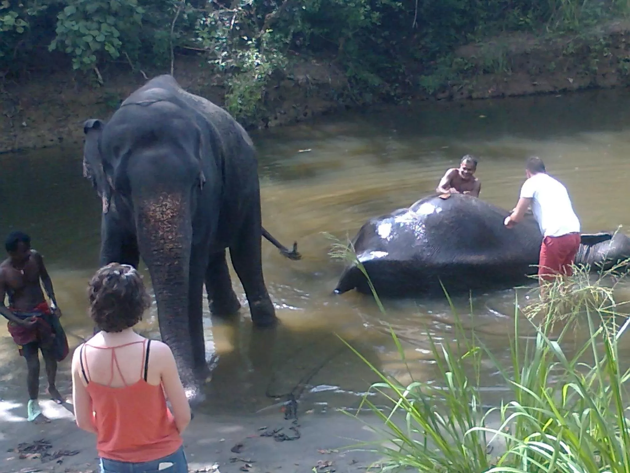 Other, Other Animals in Rockvilla homestay and BNB