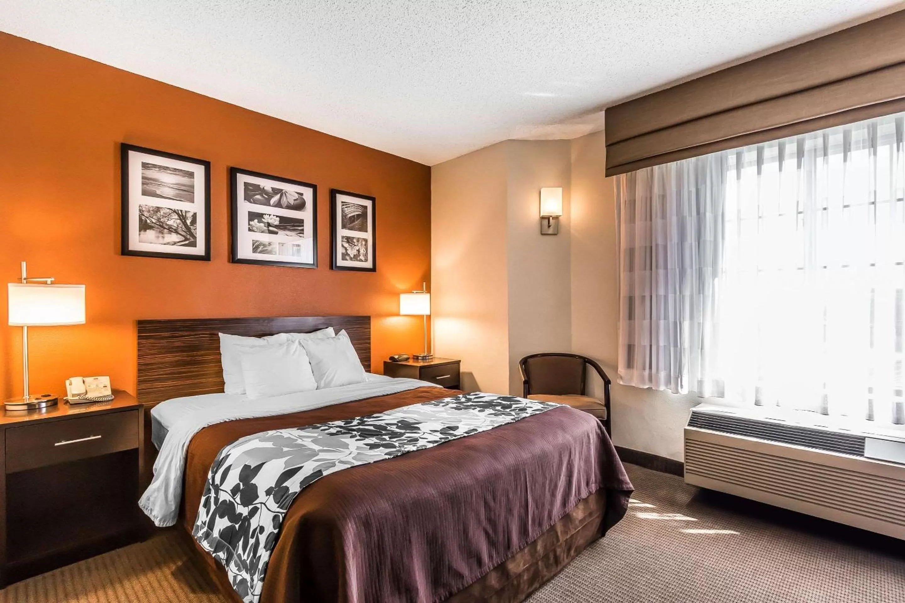 Photo of the whole room, Bed in Sleep Inn Springfield South I60 near Medical District