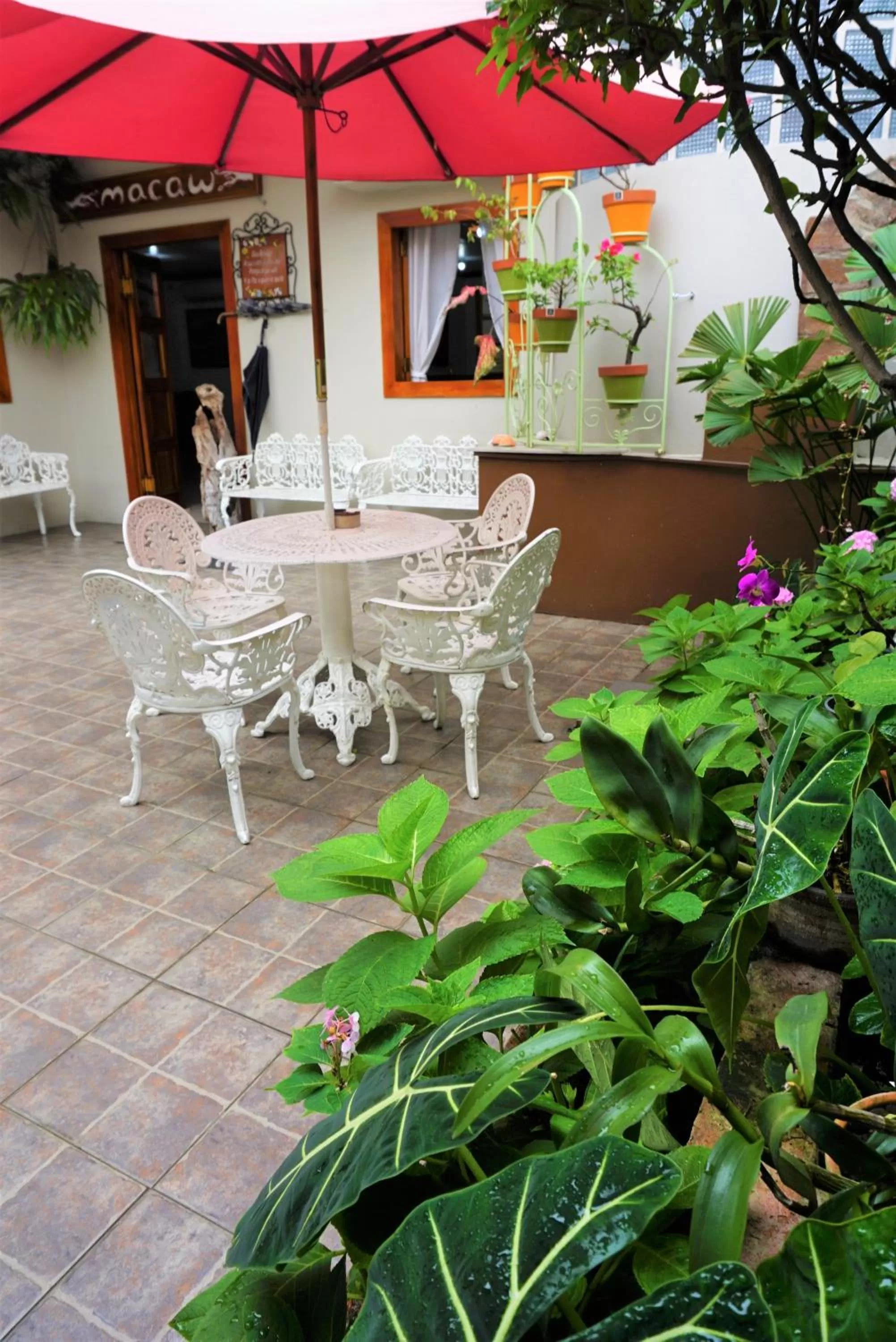 Patio in Hostal Macaw