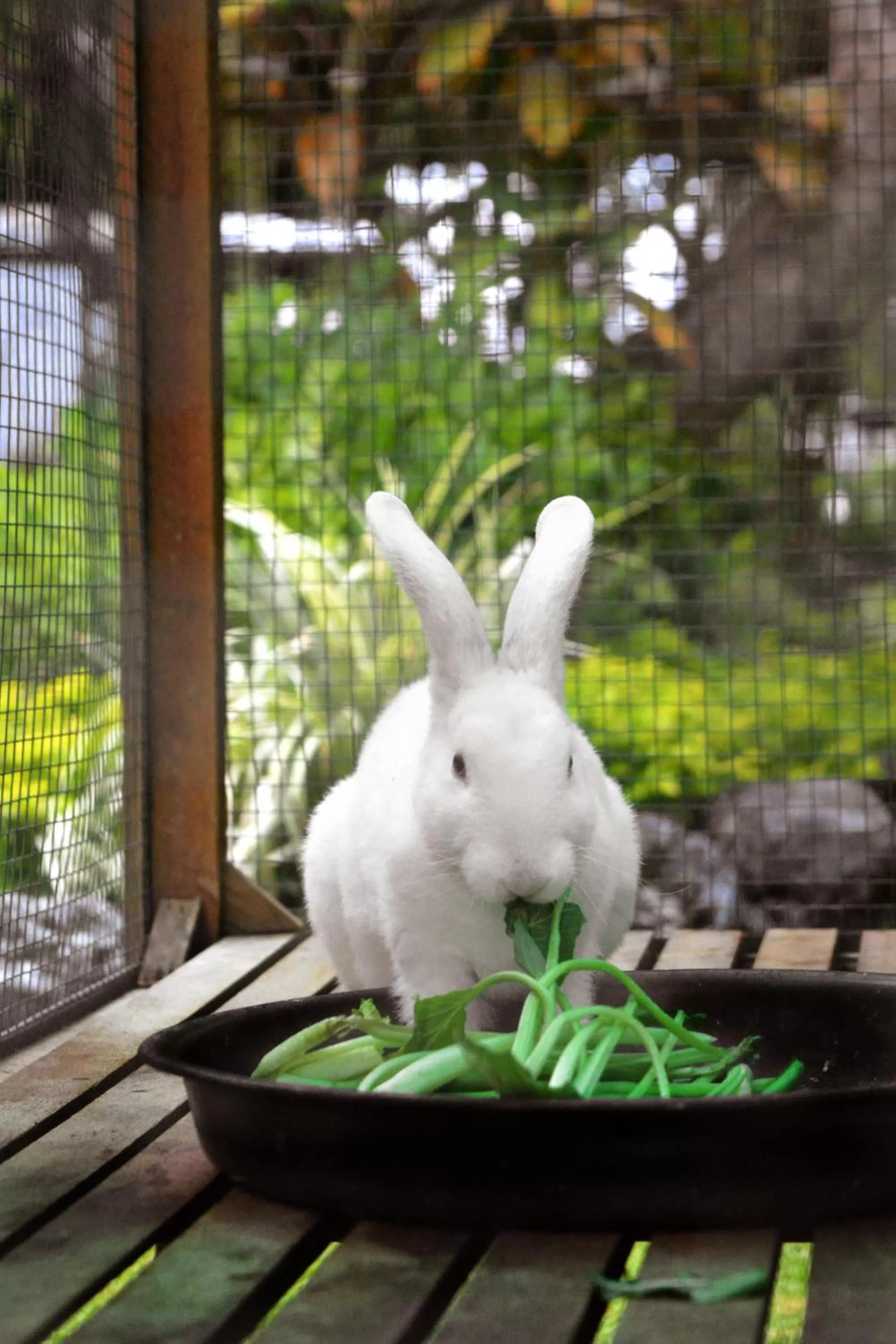 Kids's club in Aston Denpasar Hotel & Convention